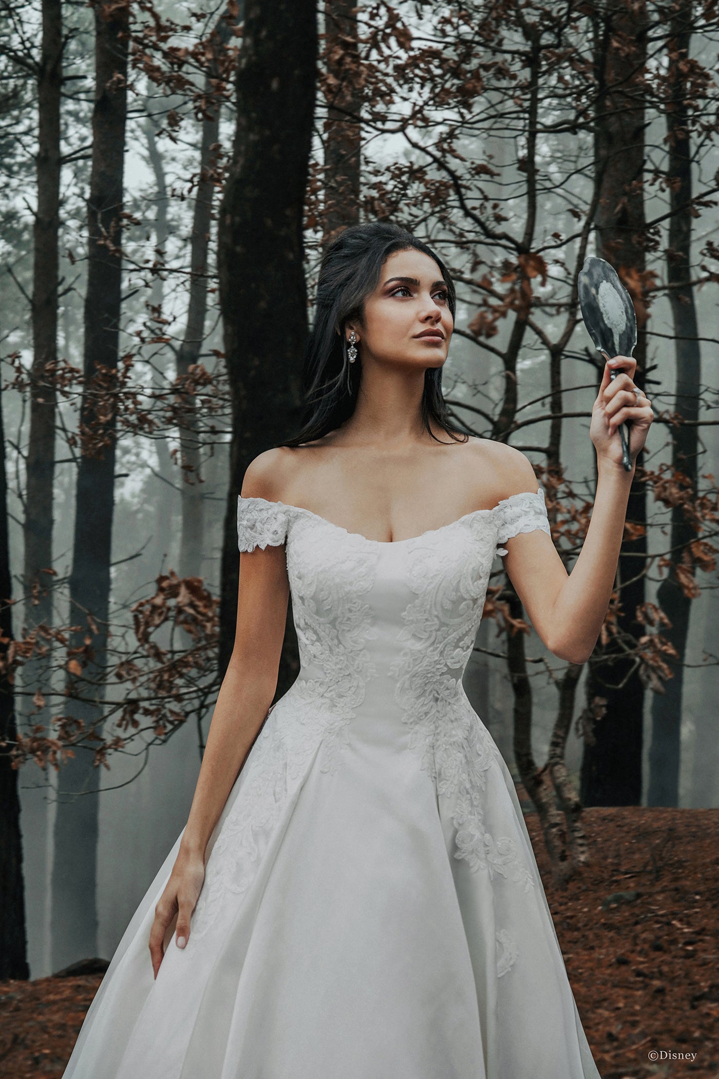 D262 - Belle
