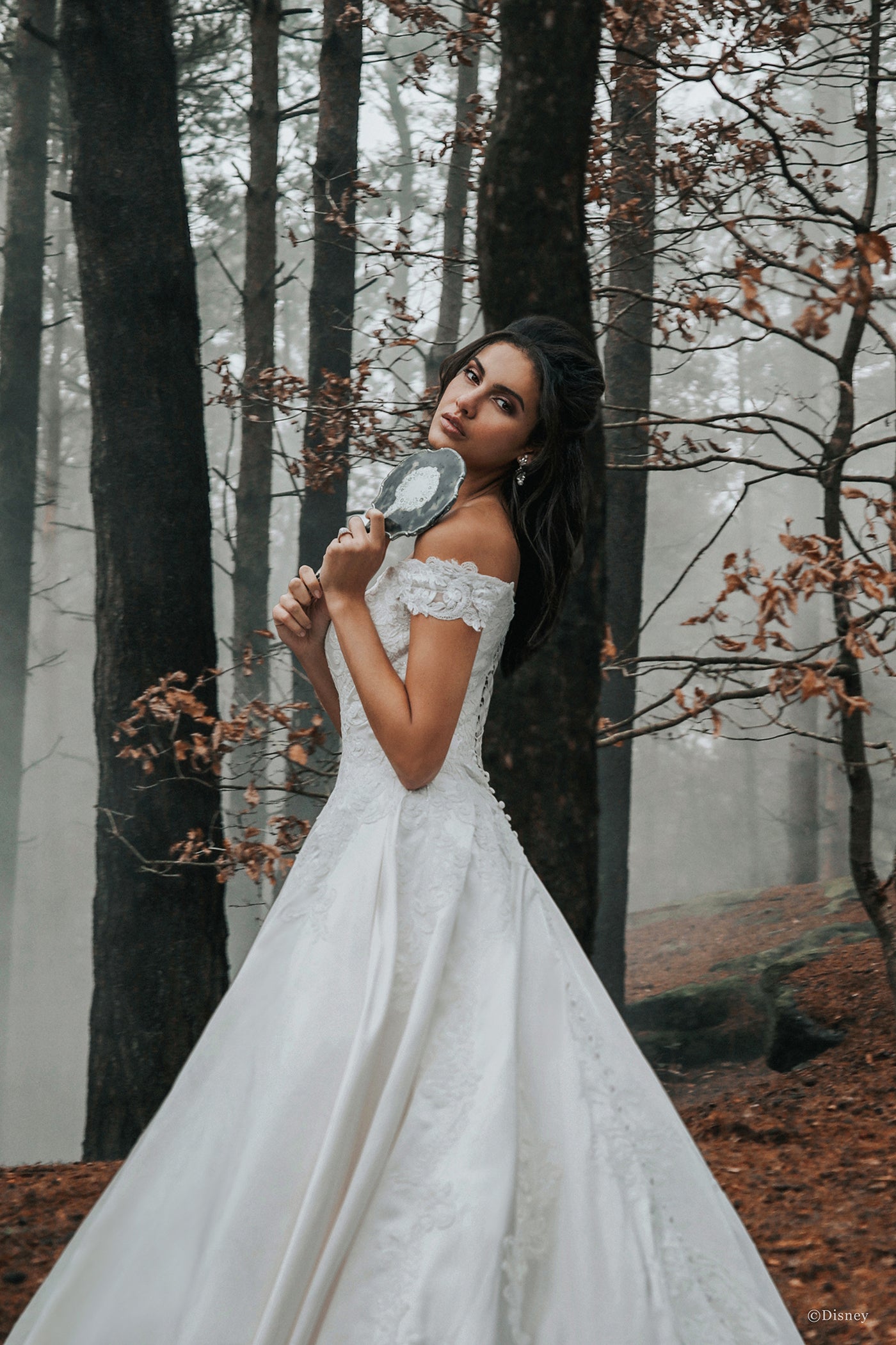D262 - Belle