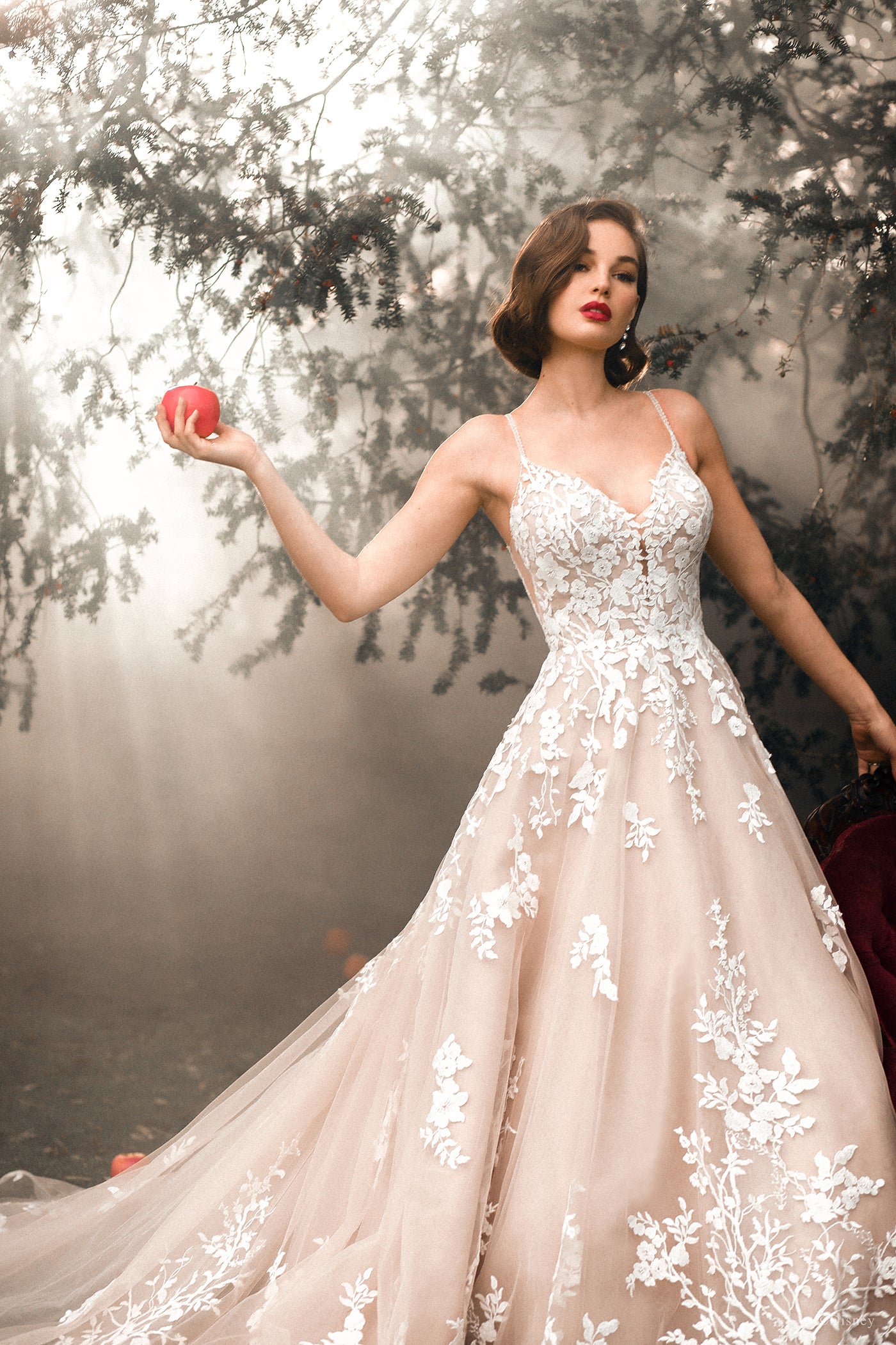 D287 - Snow White