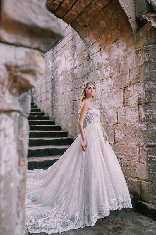 D293 - Cendrillon