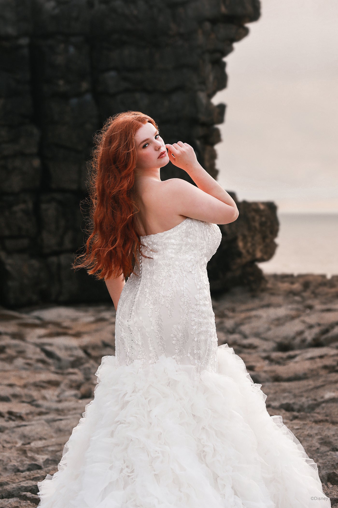 D310 - Ariel