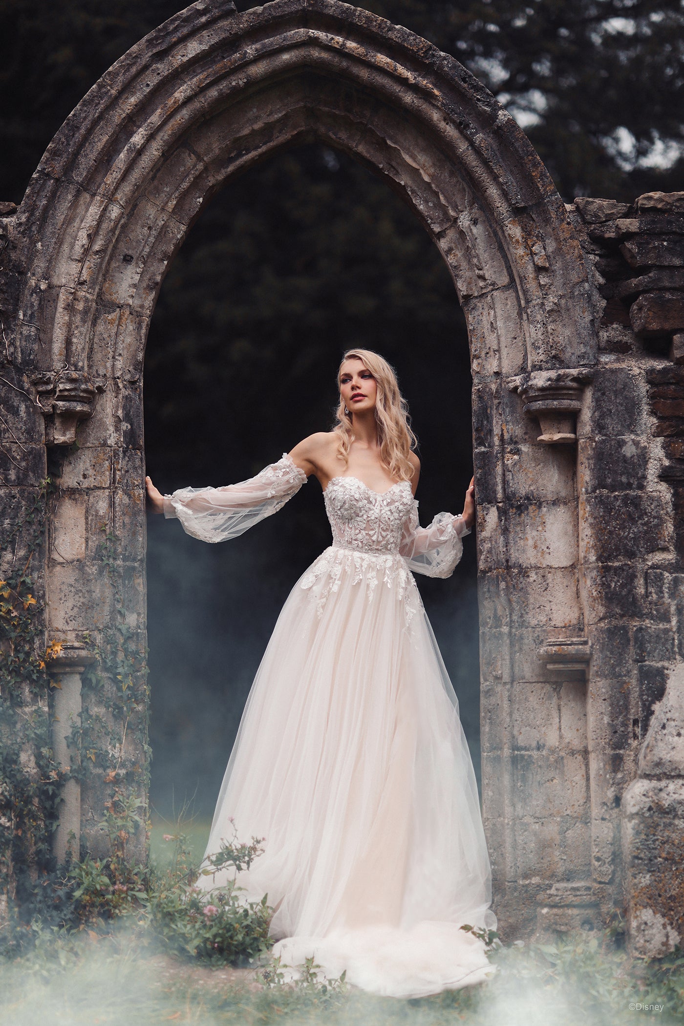 aurora bridesmaid dresses Aurora Chiffon Dress