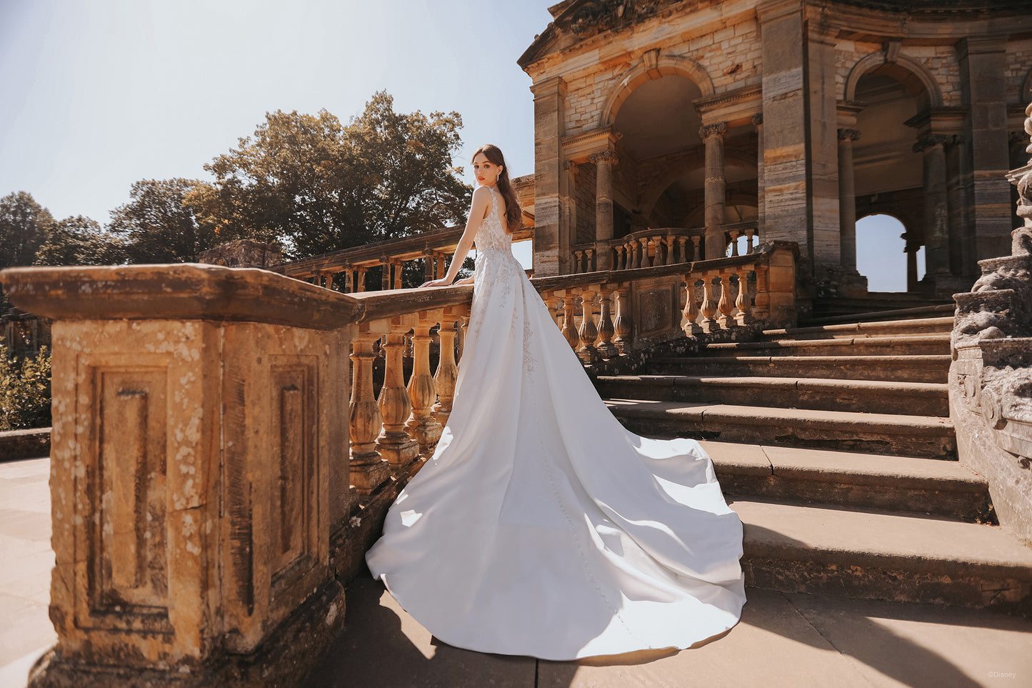 D312 - Belle