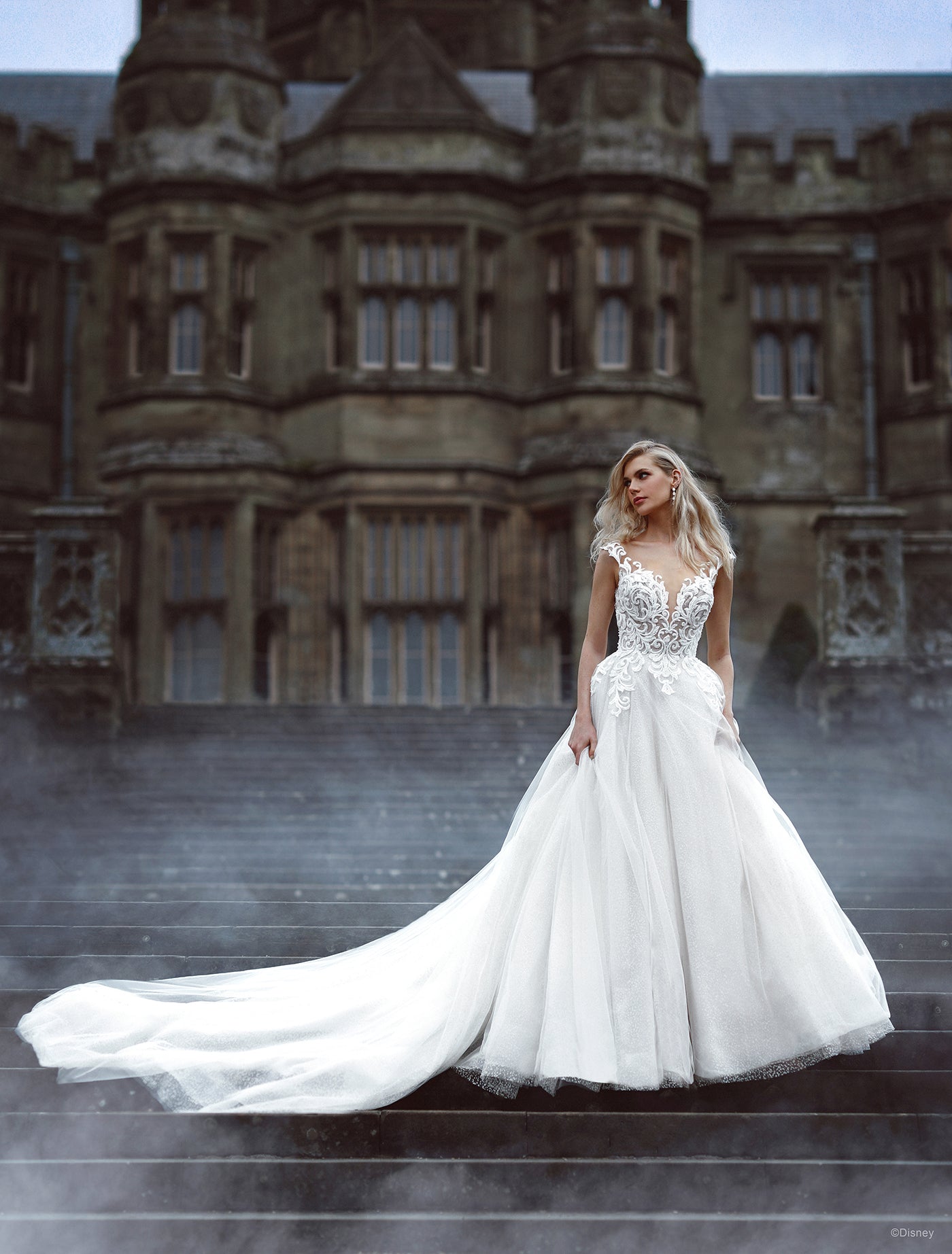 D313 - Cinderella
