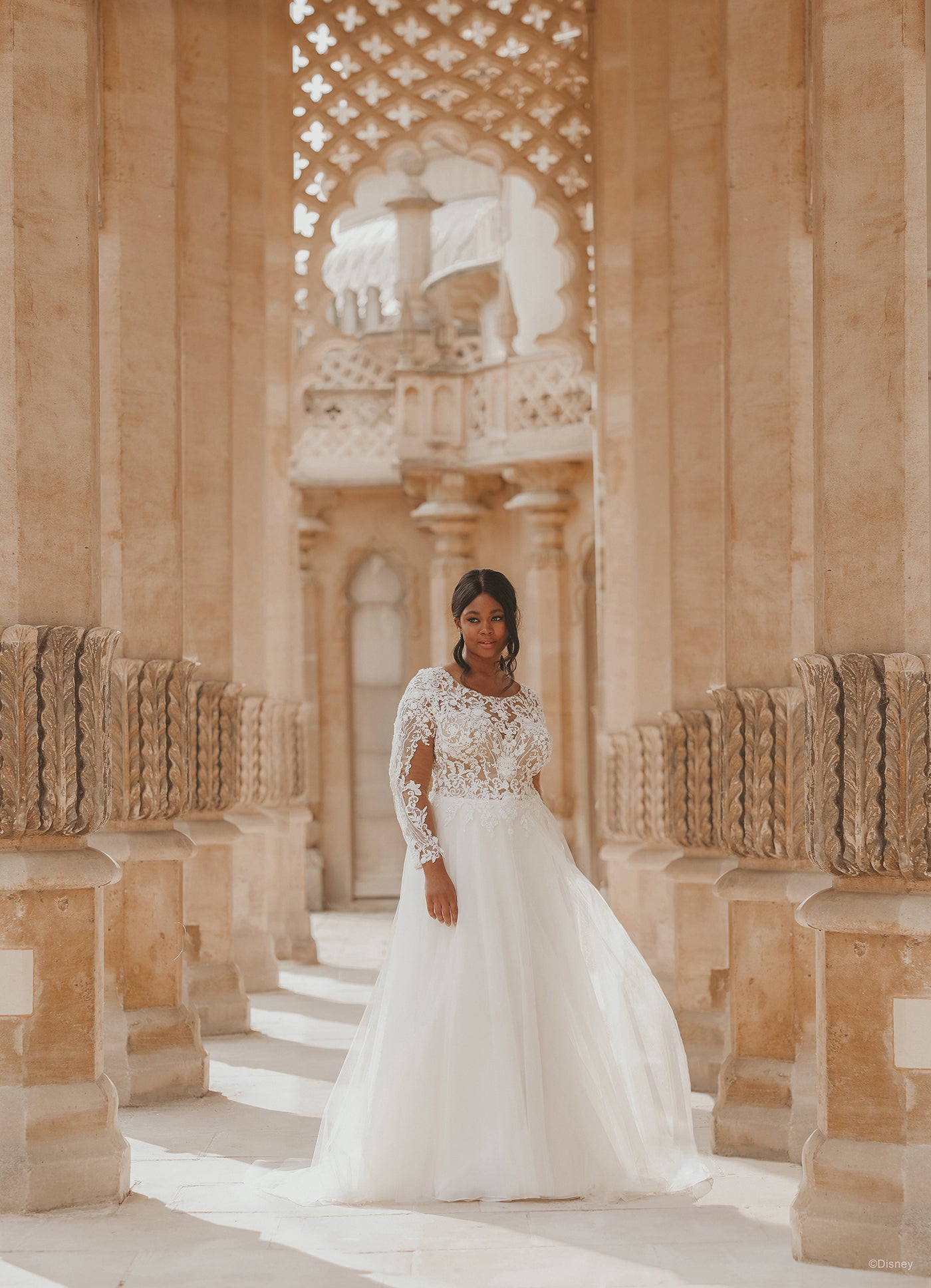 D314 - Jasmine