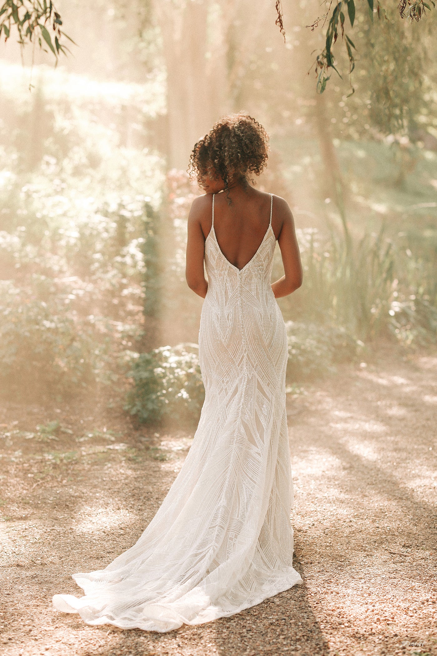 D328 - Tiana