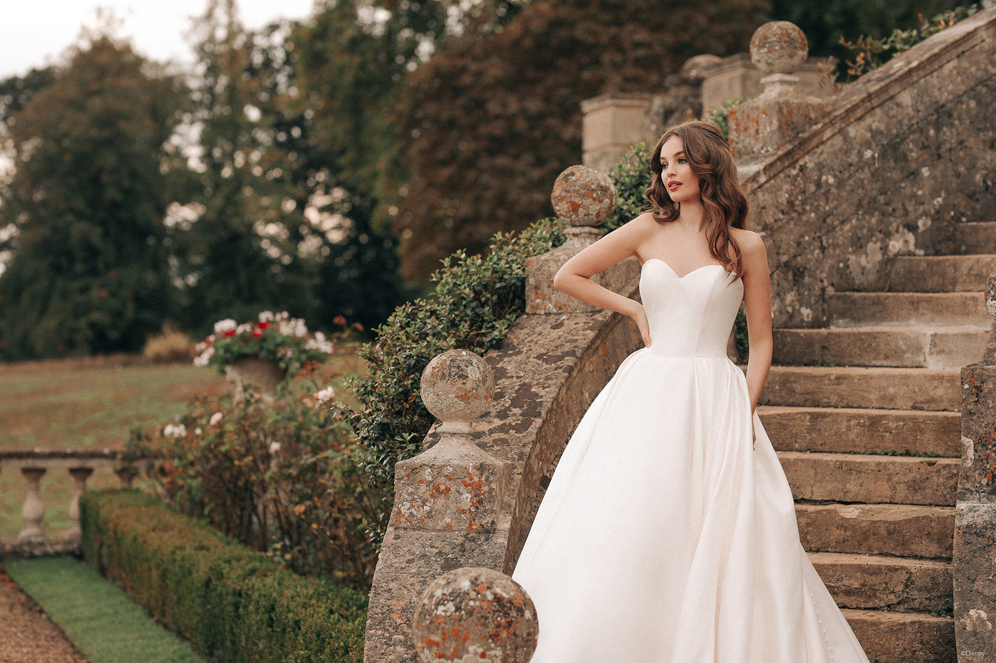 D362 - Belle