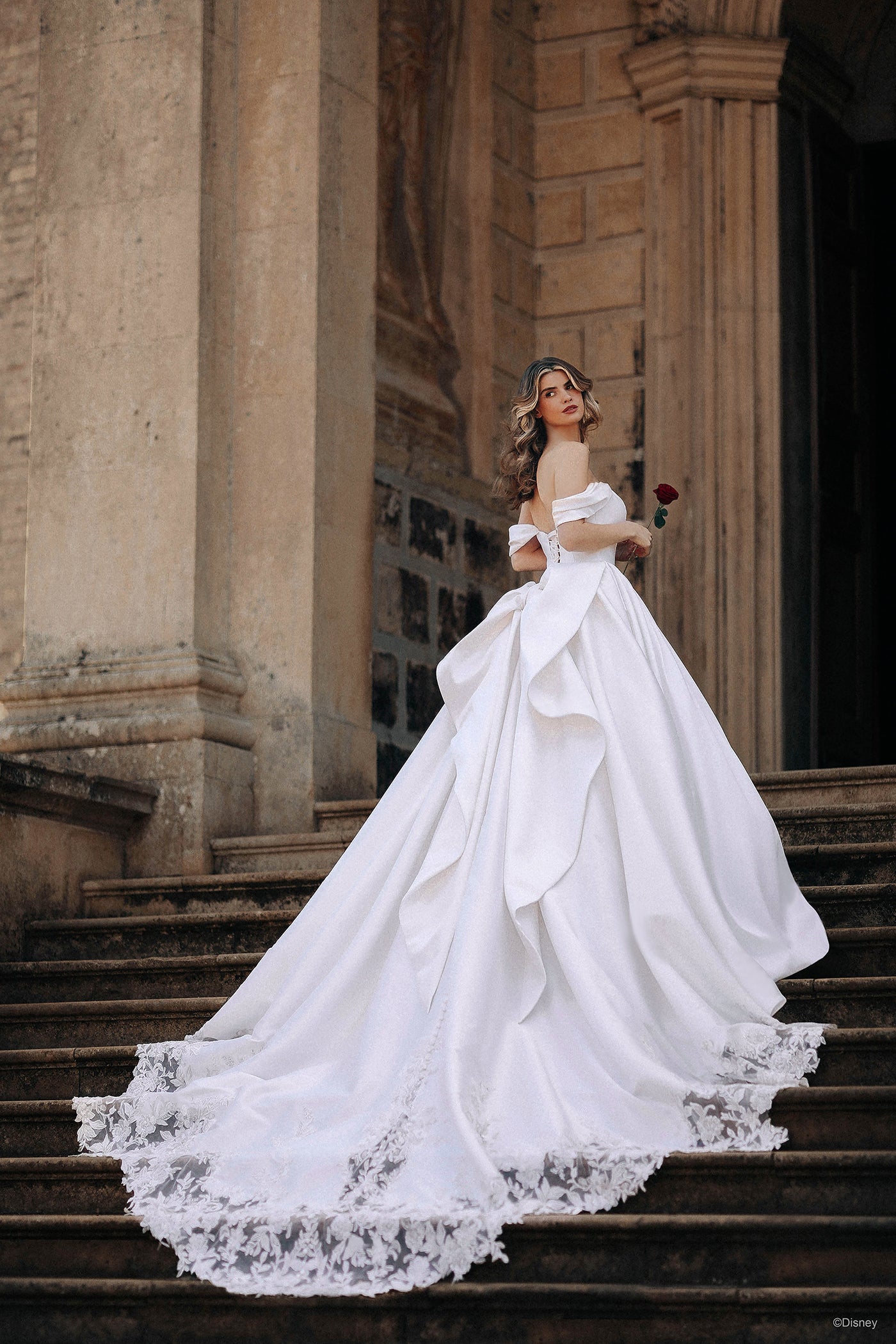 D362 - Belle