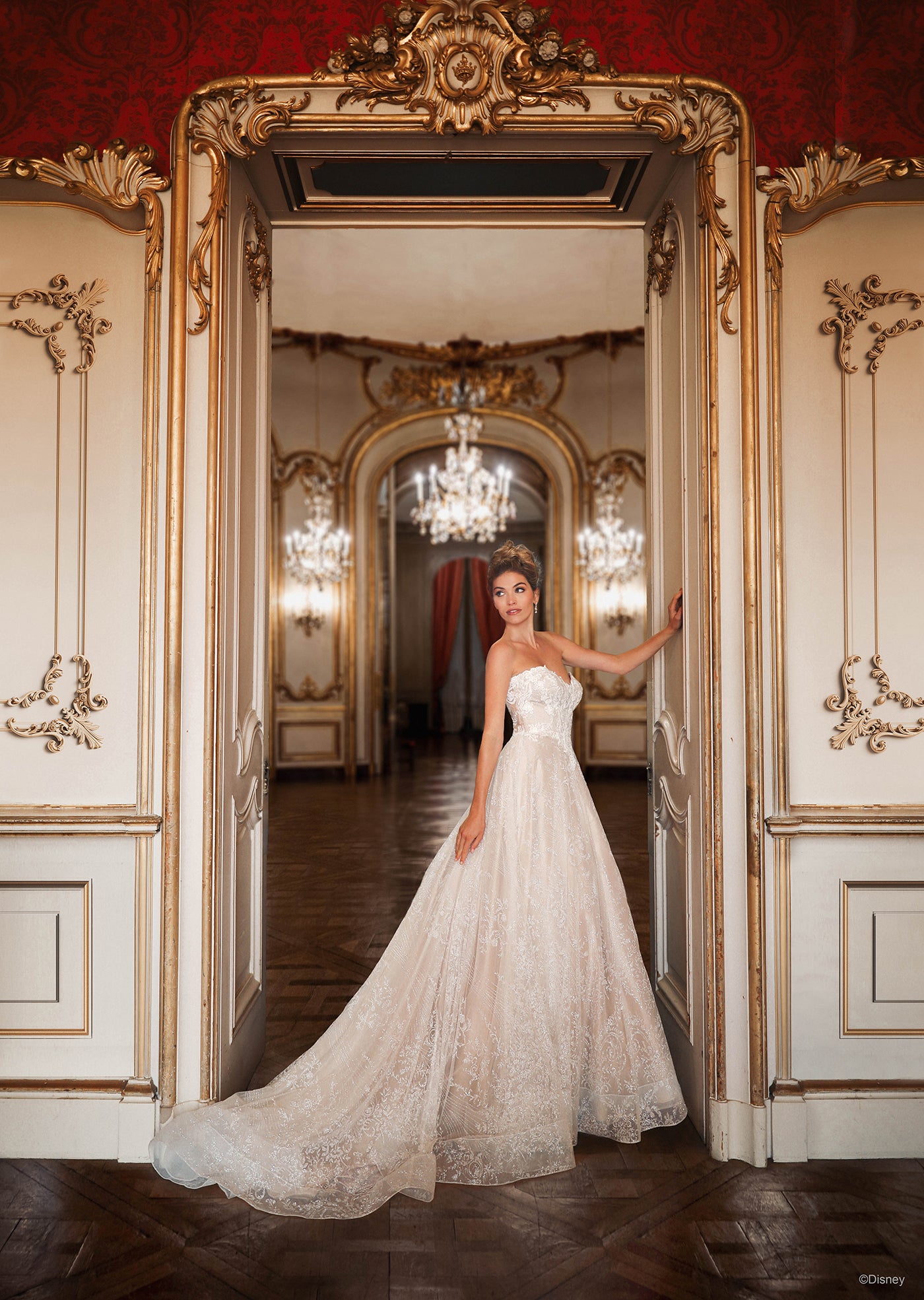 ivory cinderella wedding dress D363