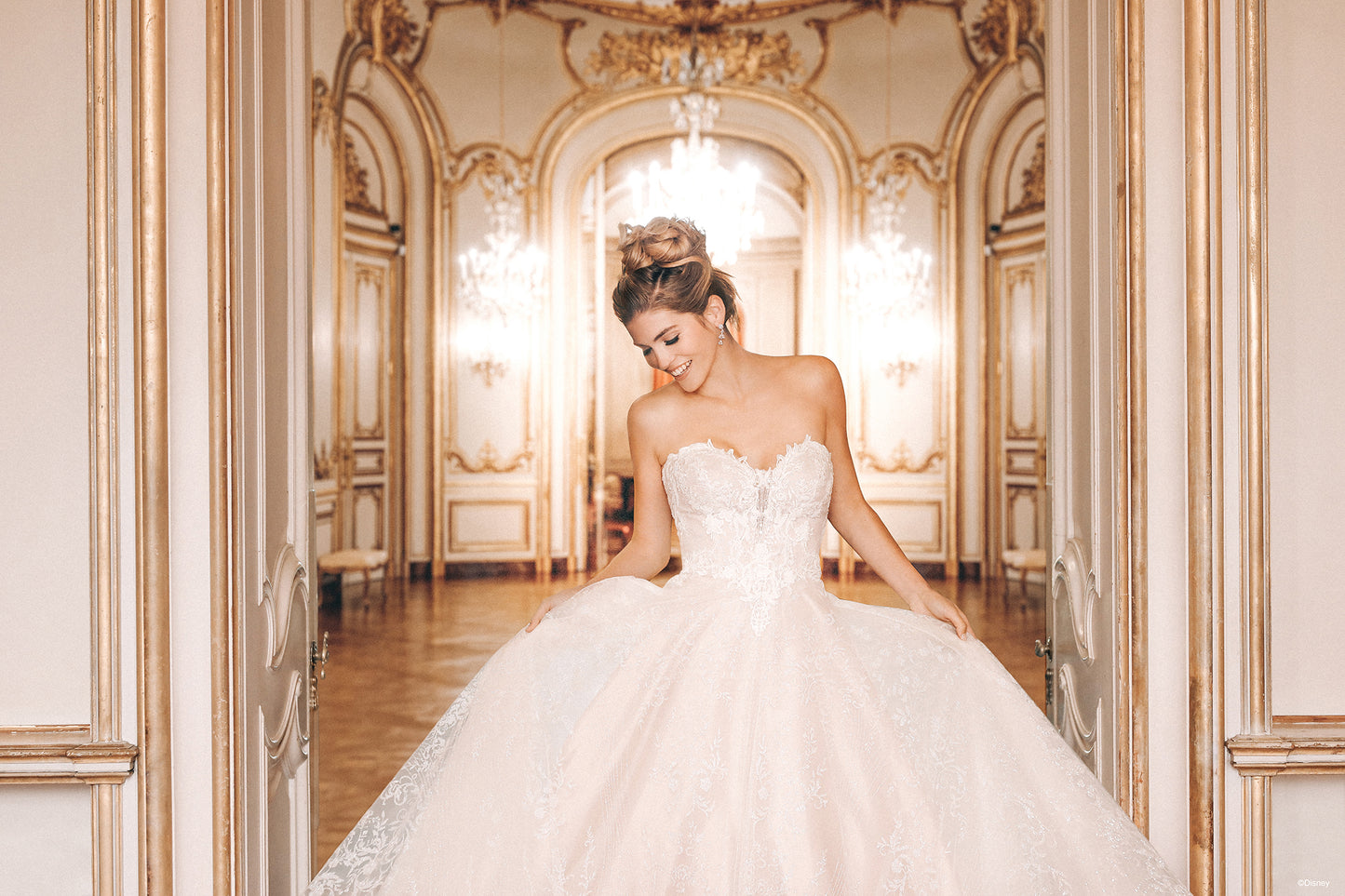 D363 - Cinderella