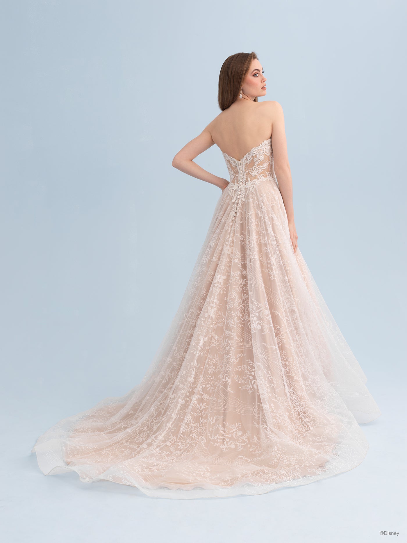 D363 - Cinderella