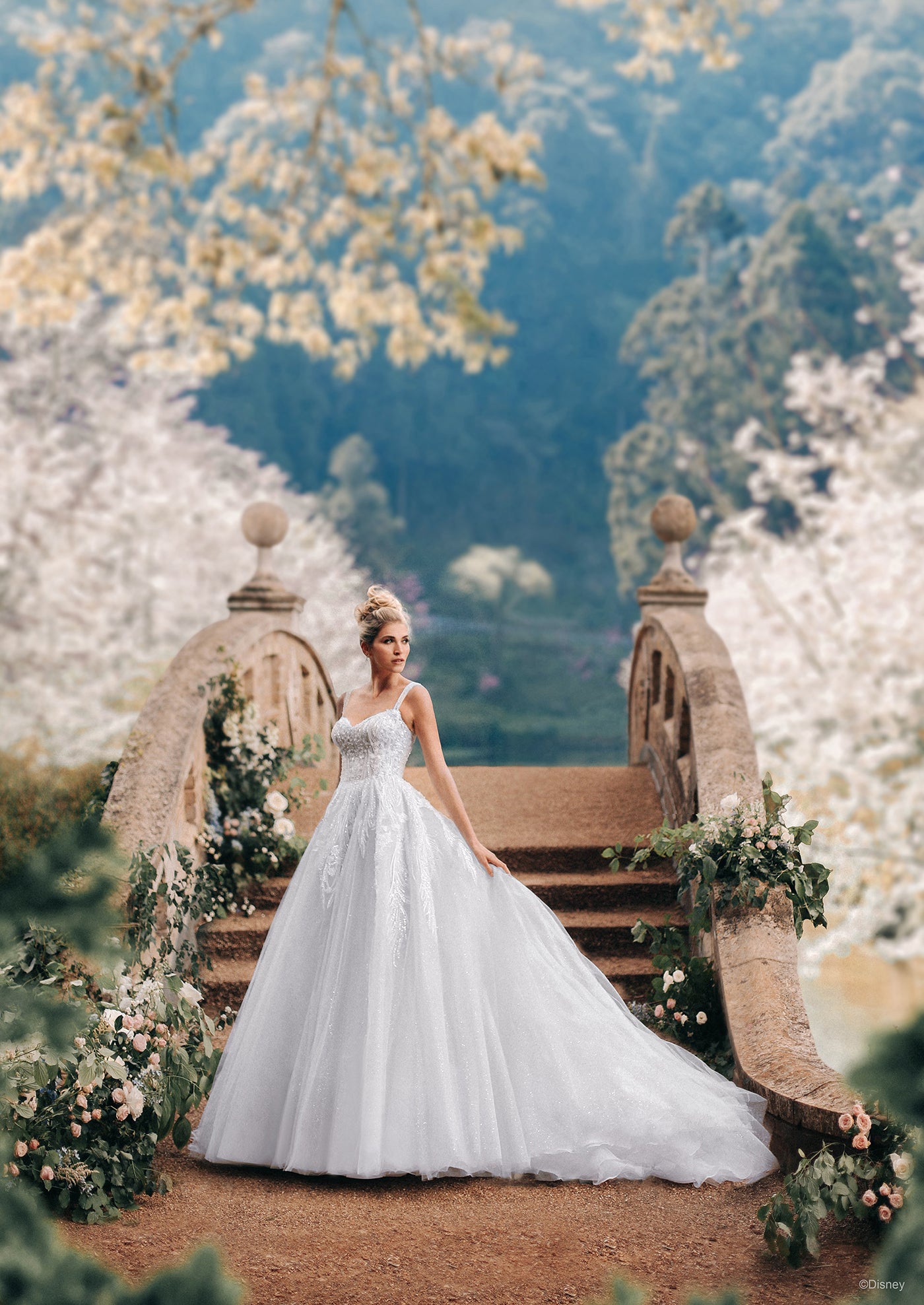 D373 - Cinderella