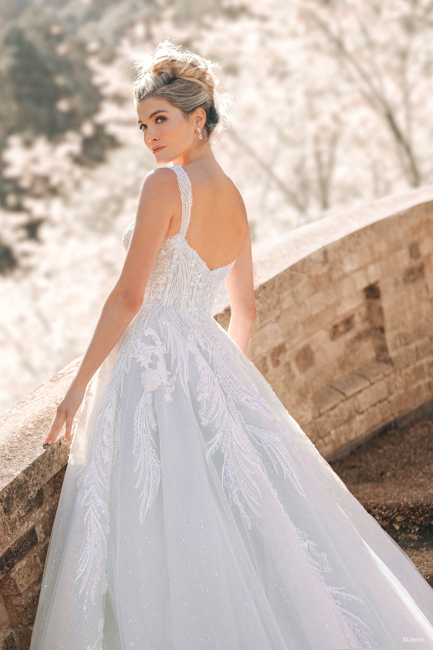 D373 - Cinderella