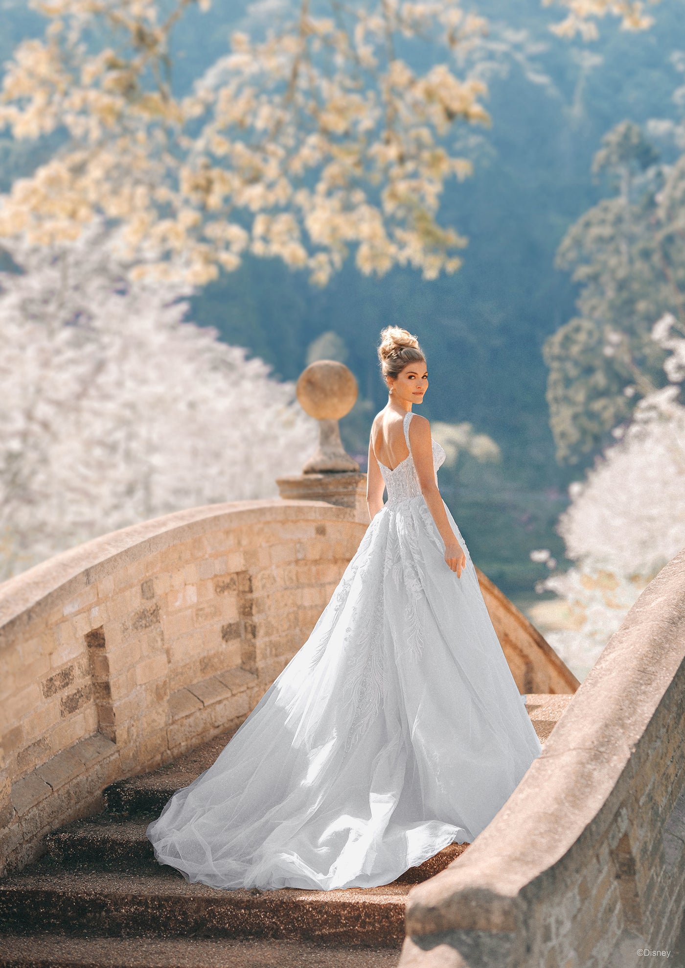 D373 - Cinderella