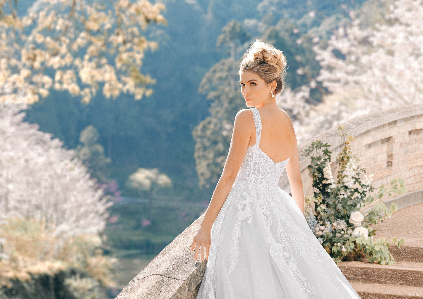 D373 - Cinderella
