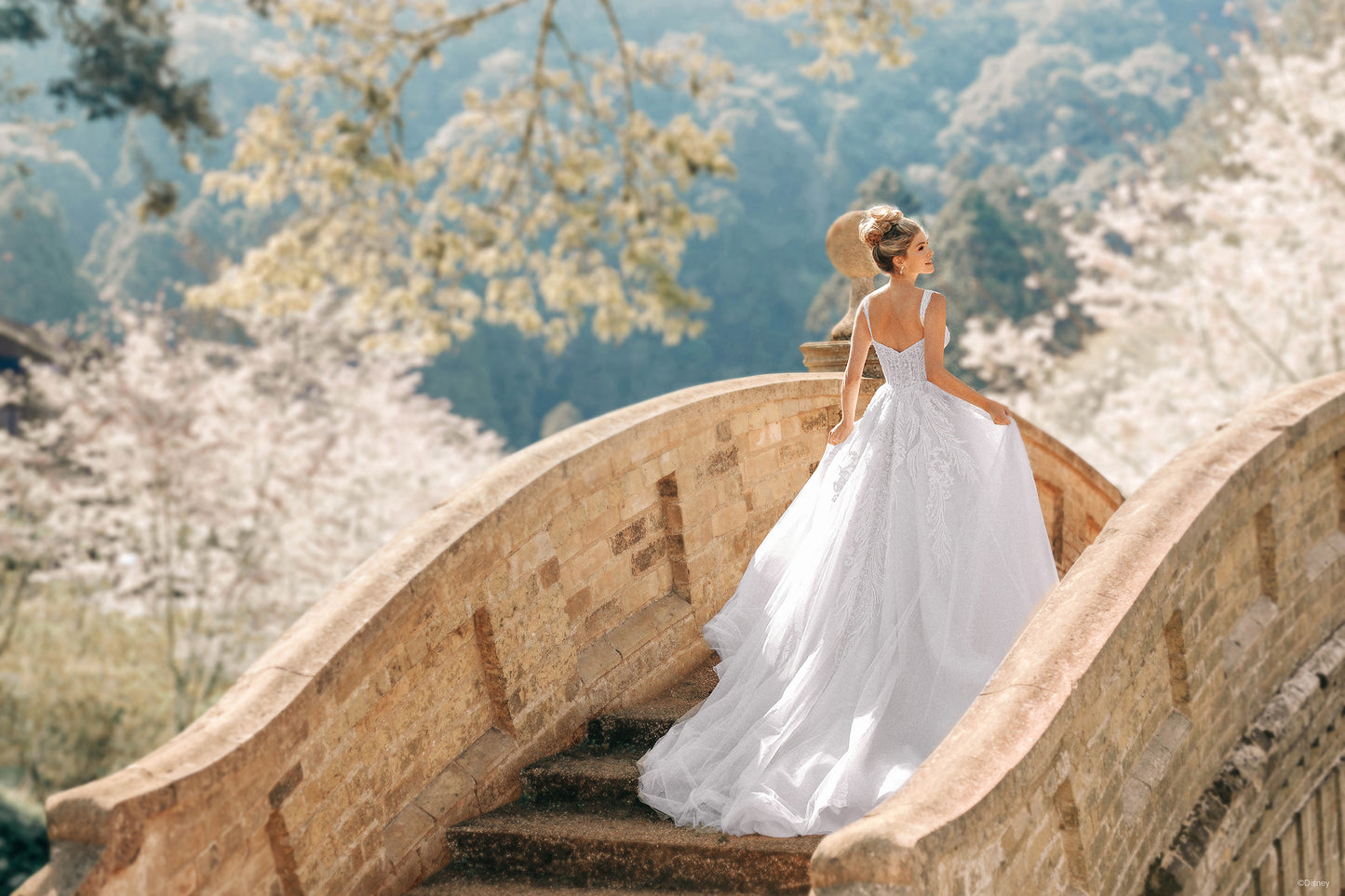 D373 - Cinderella