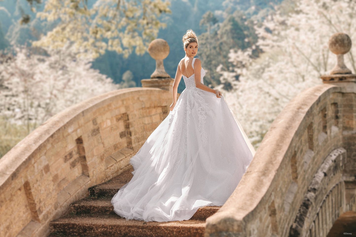 D373 - Cinderella