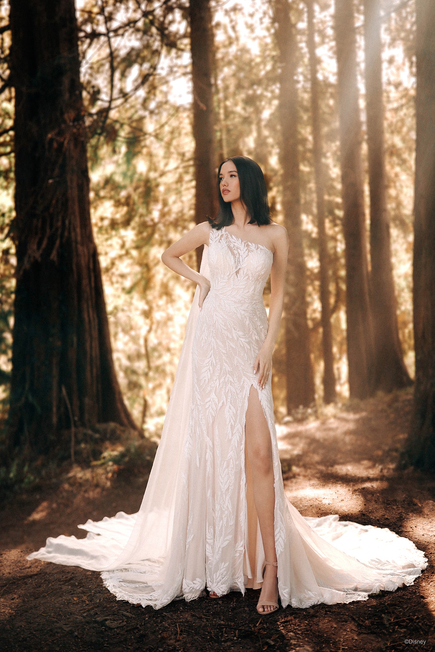 pocahontas prom dress D375