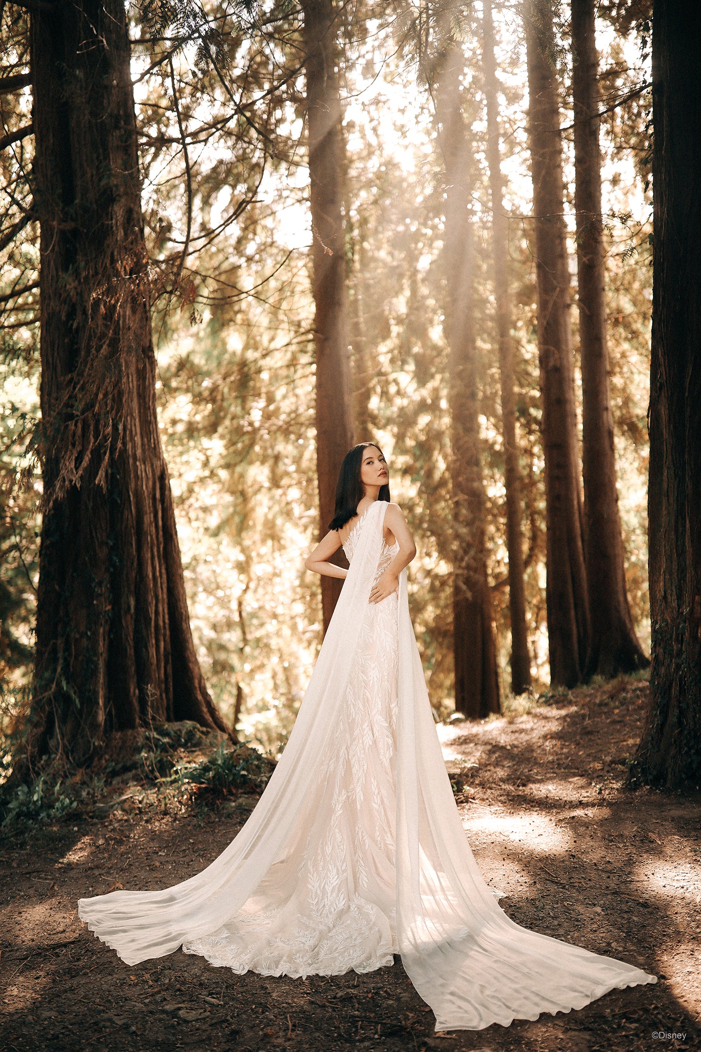 D375 - Pocahontas
