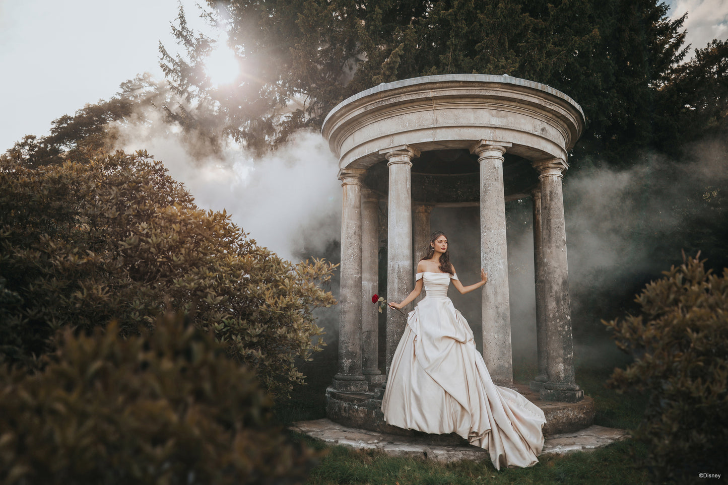 D412 - Belle