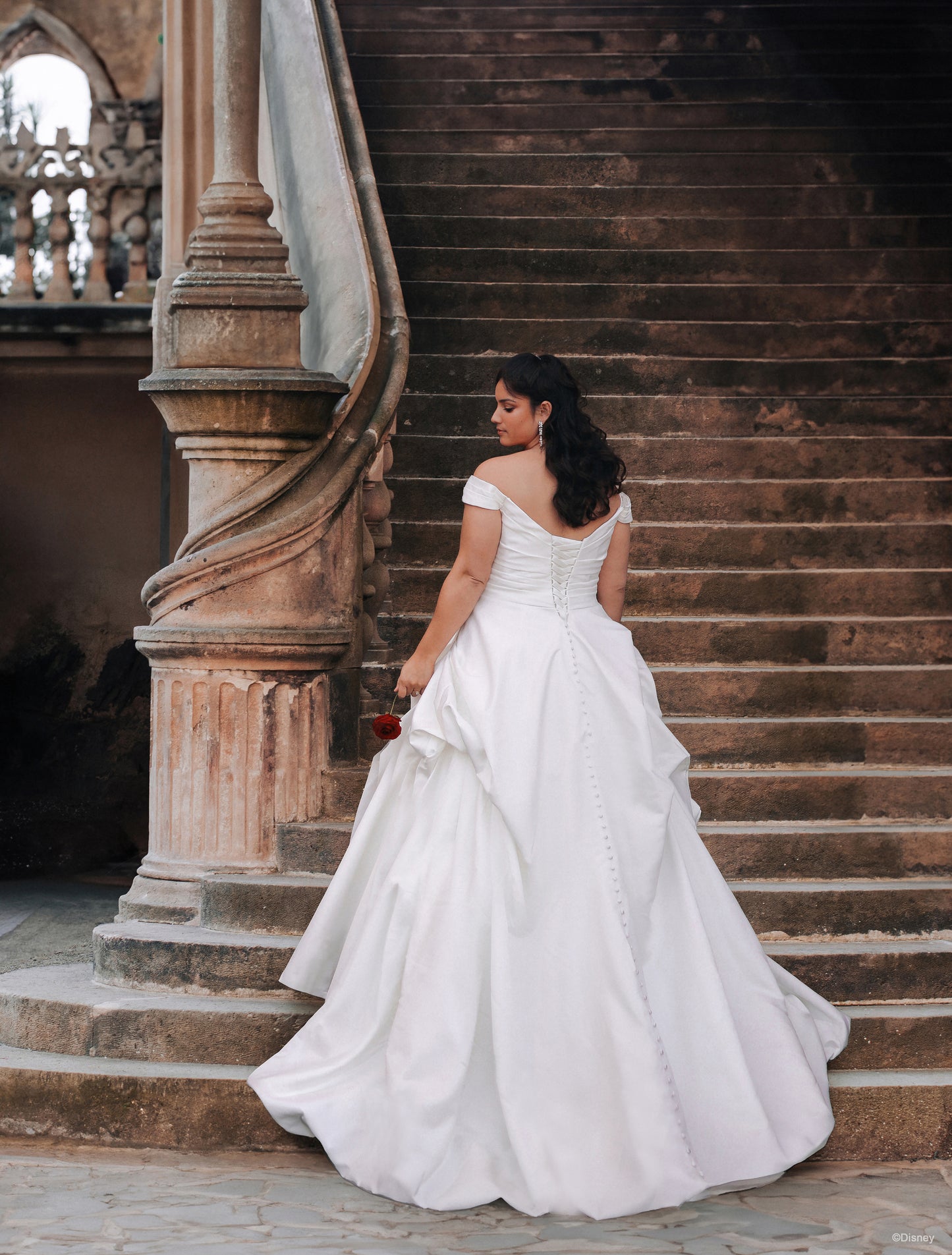 D412 - Belle