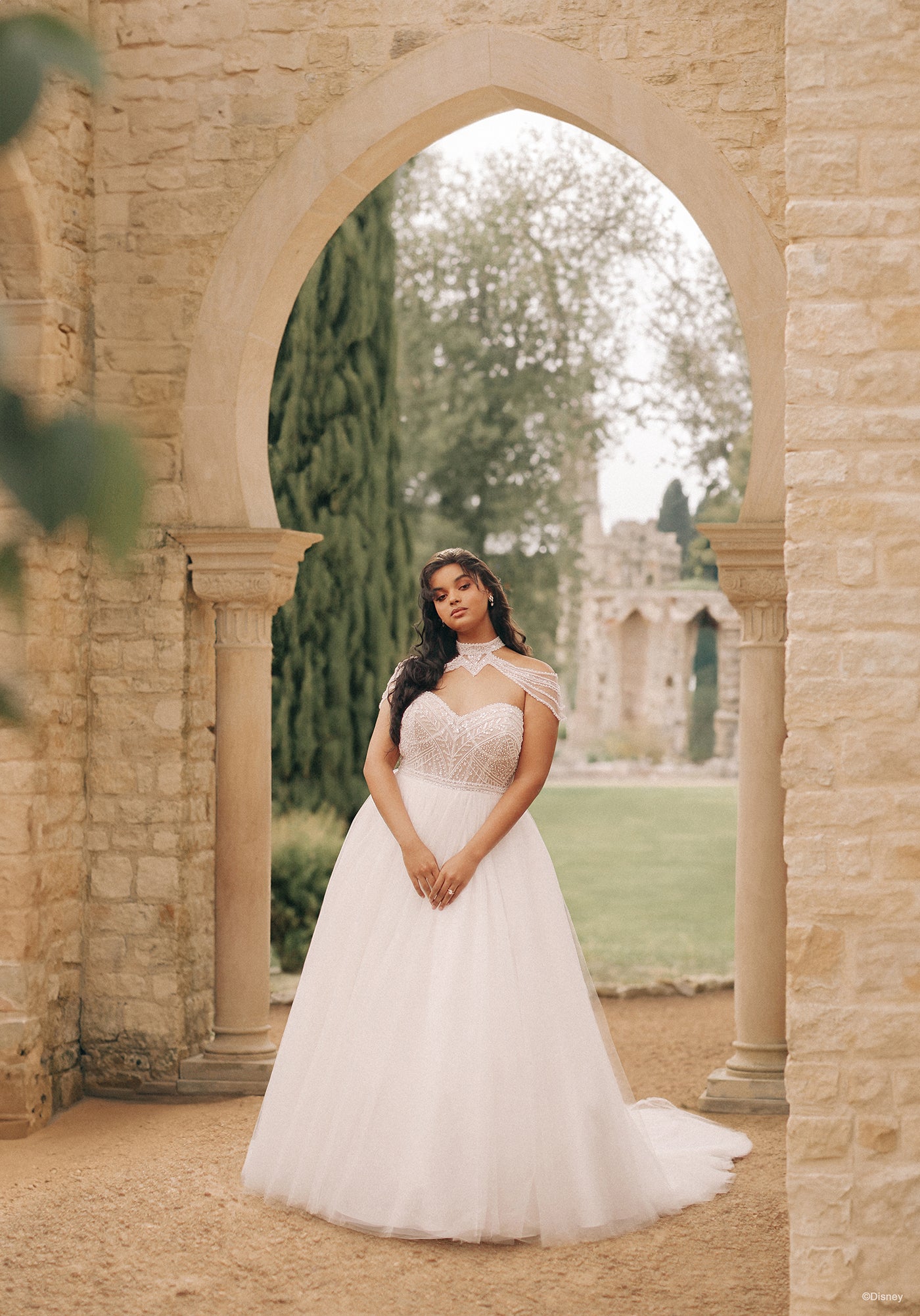 D414 - Jasmine