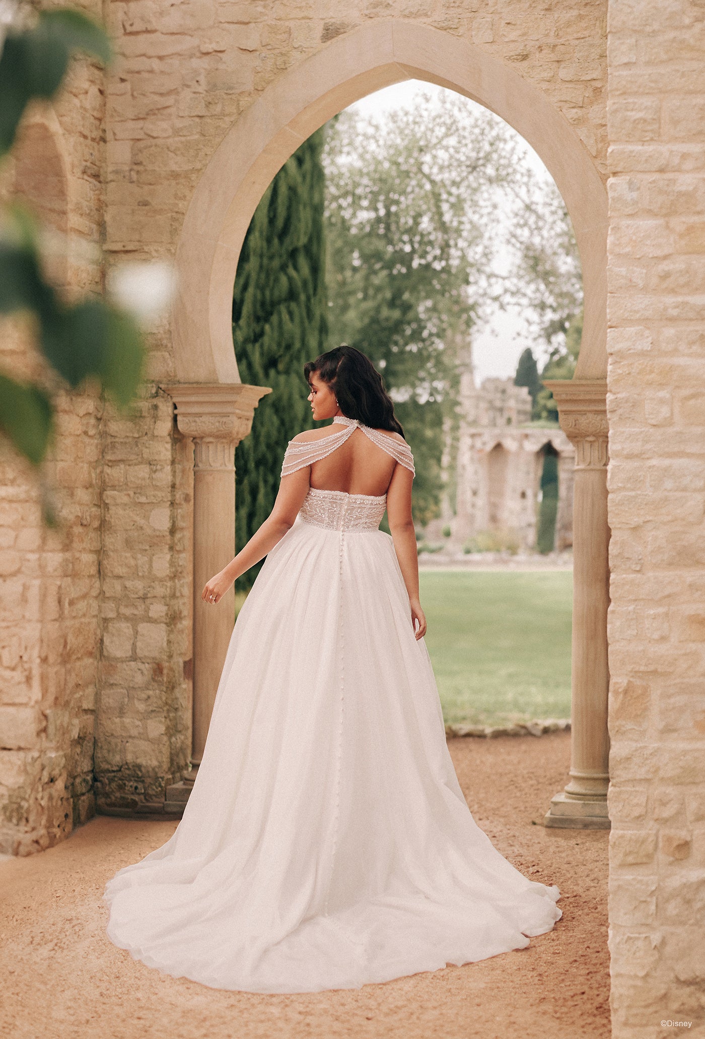 D414 - Jasmine