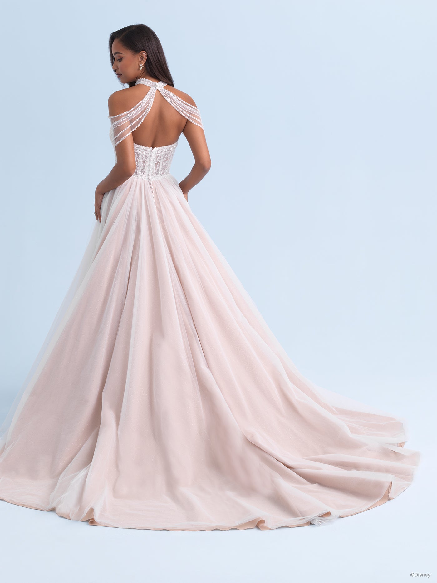 D414 - Jasmine