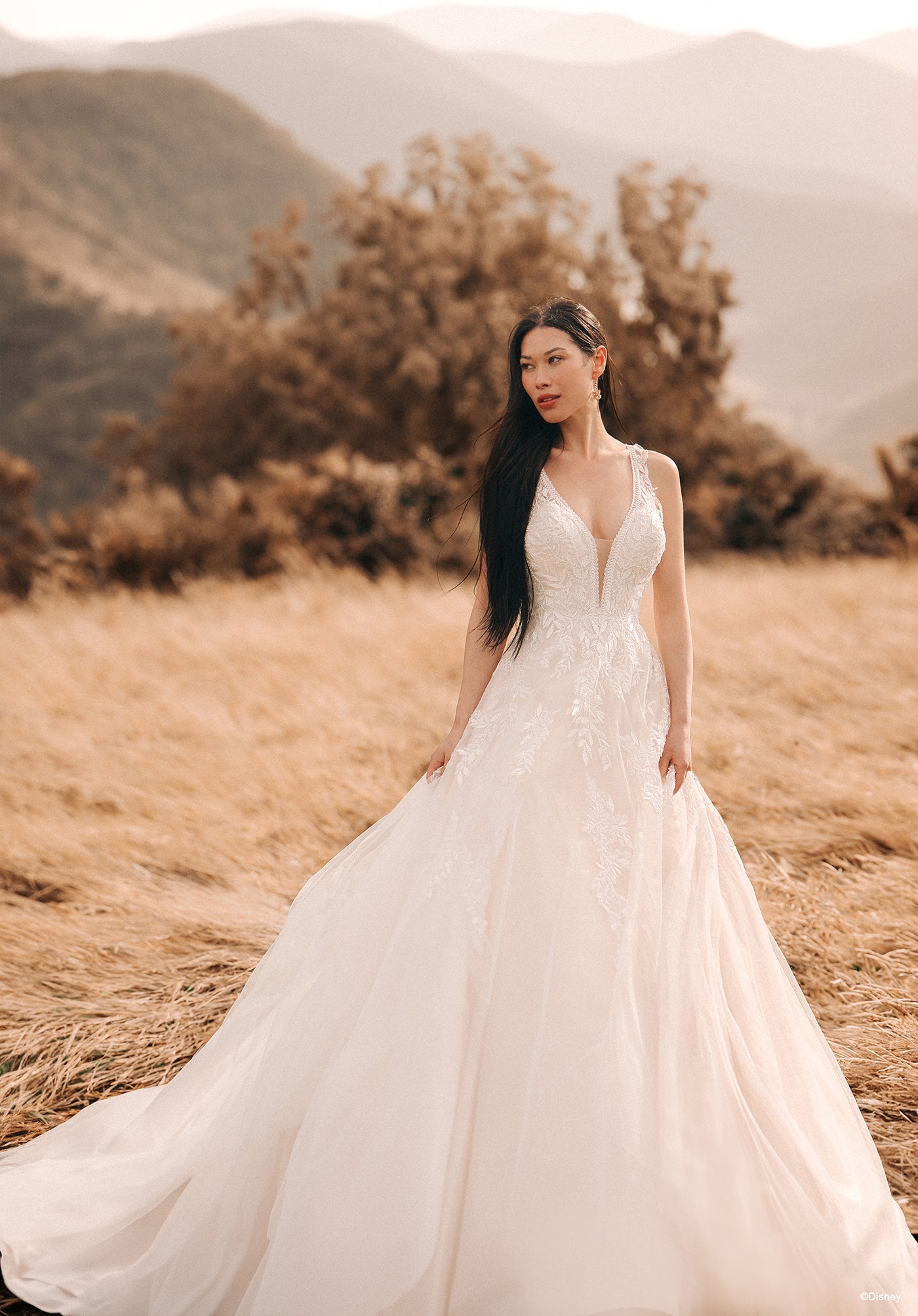 pocahontas dress 2021 Pocahontas Bridal Gowns Standard Collection | Boutique