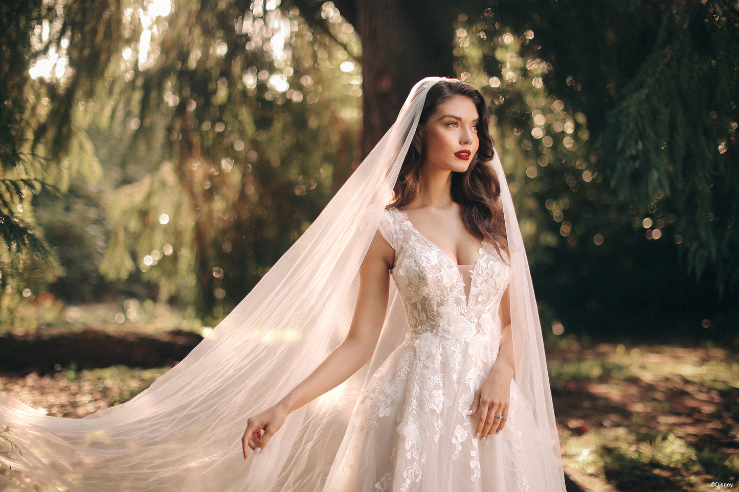 D417 - Snow White