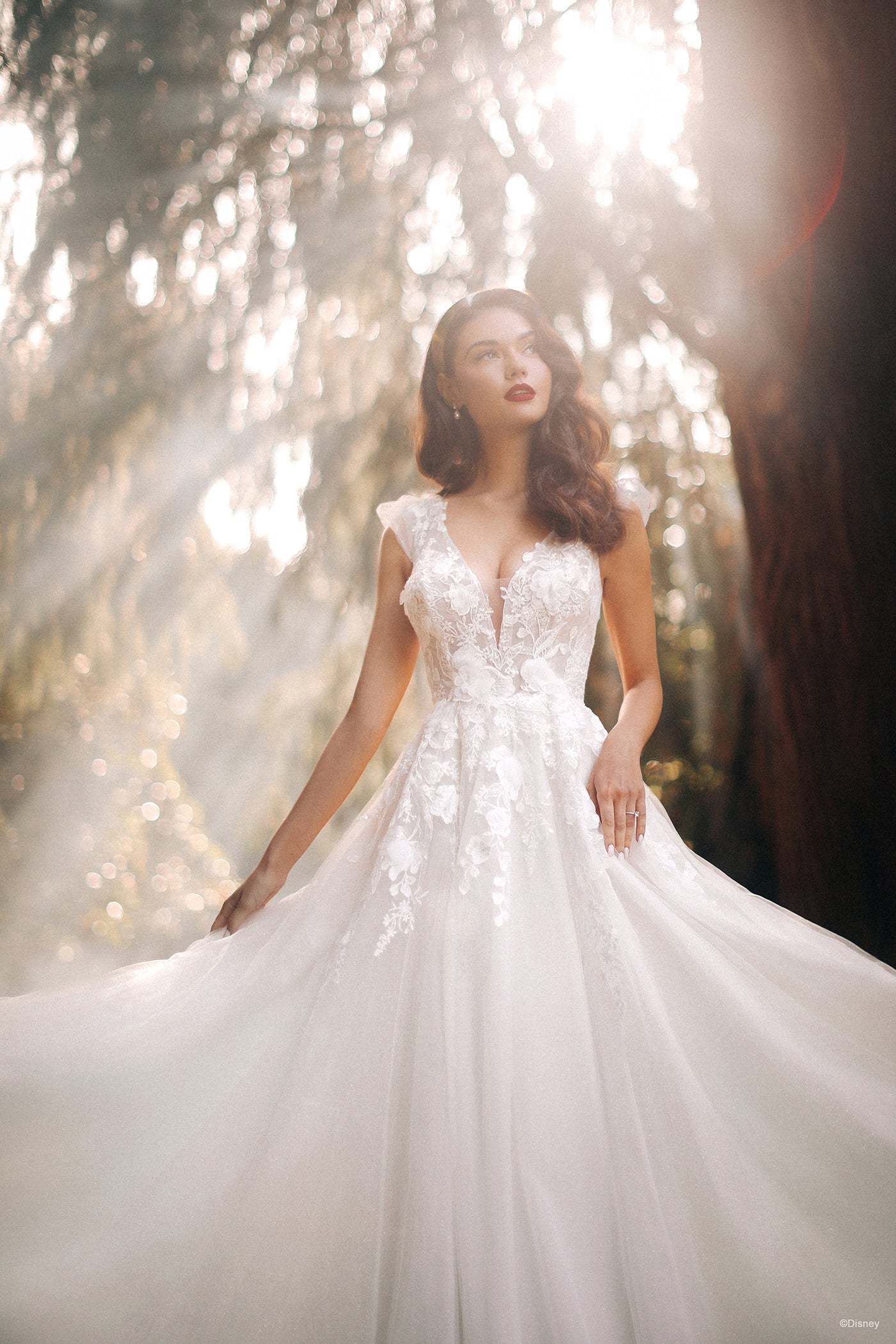D417 - Snow White