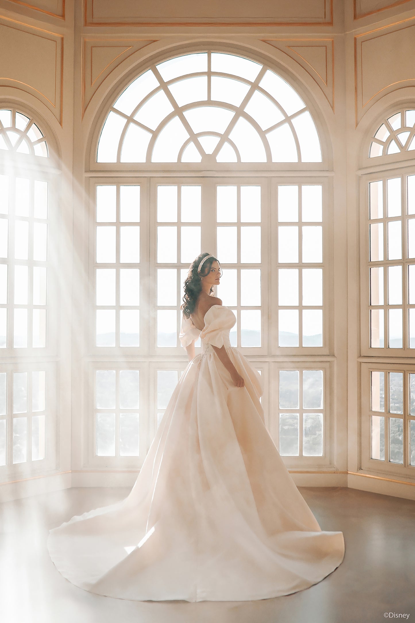 D432 - Belle