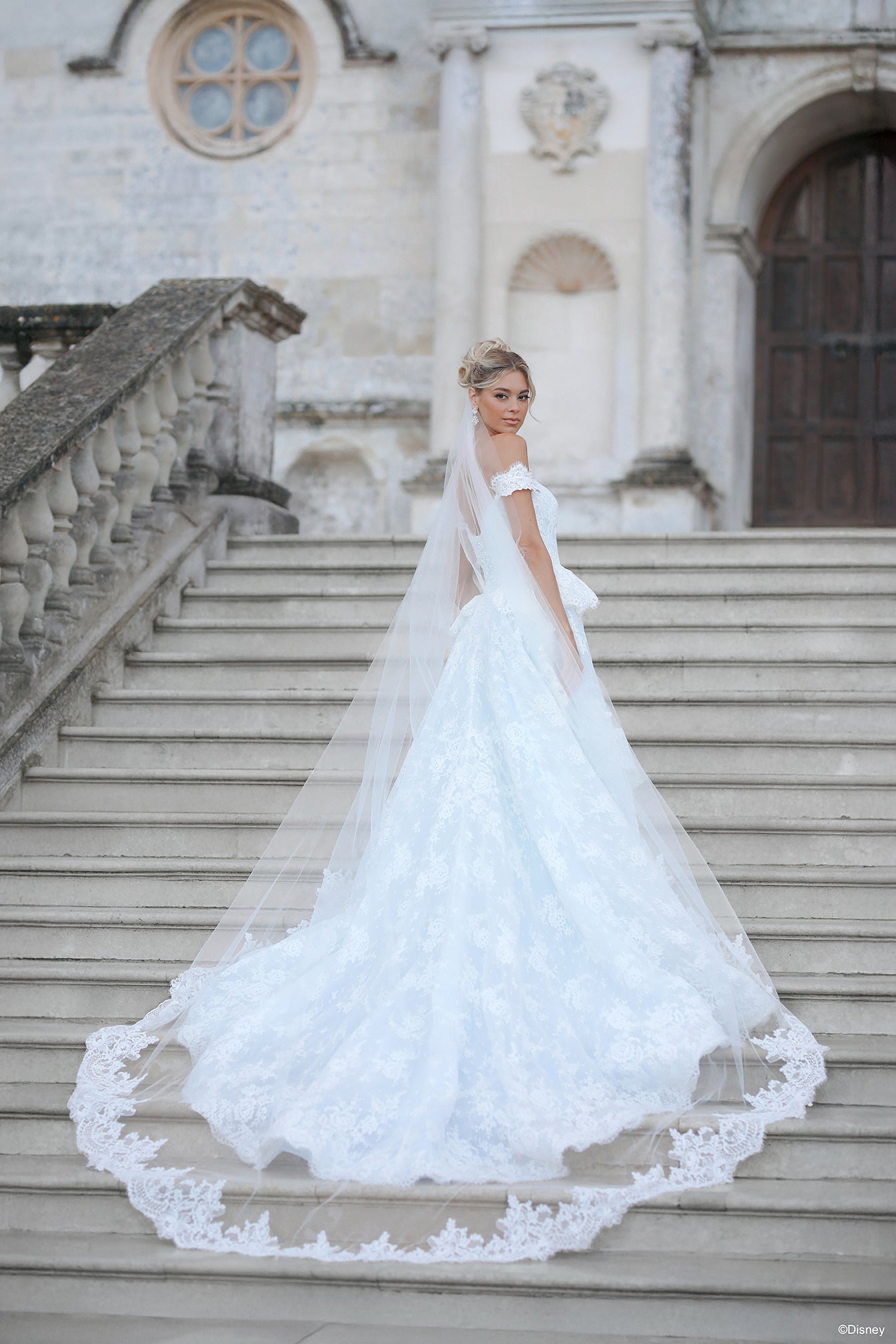 strapless open back dress DV53 | Cinderella Veil