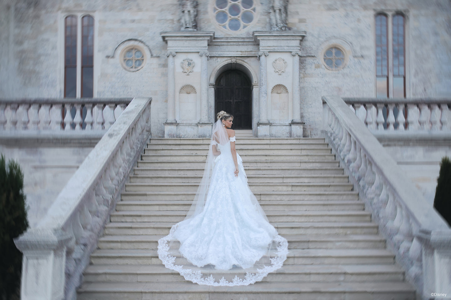 DV53 - Cinderella Veil