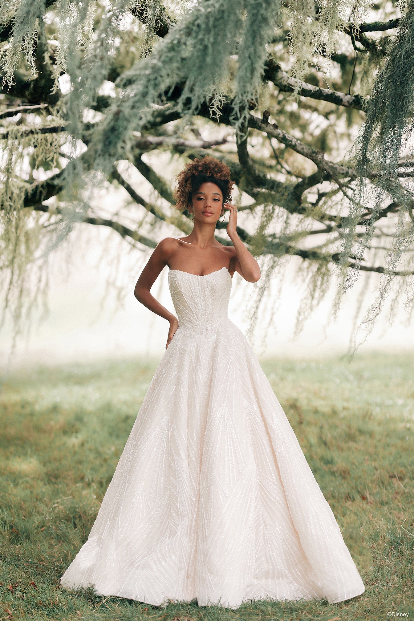D478 - Tiana | Disney Princess Wedding Dresses Allure Bridals D478 - Tiana | Disney Princess Wedding Dresses Allure Bridals