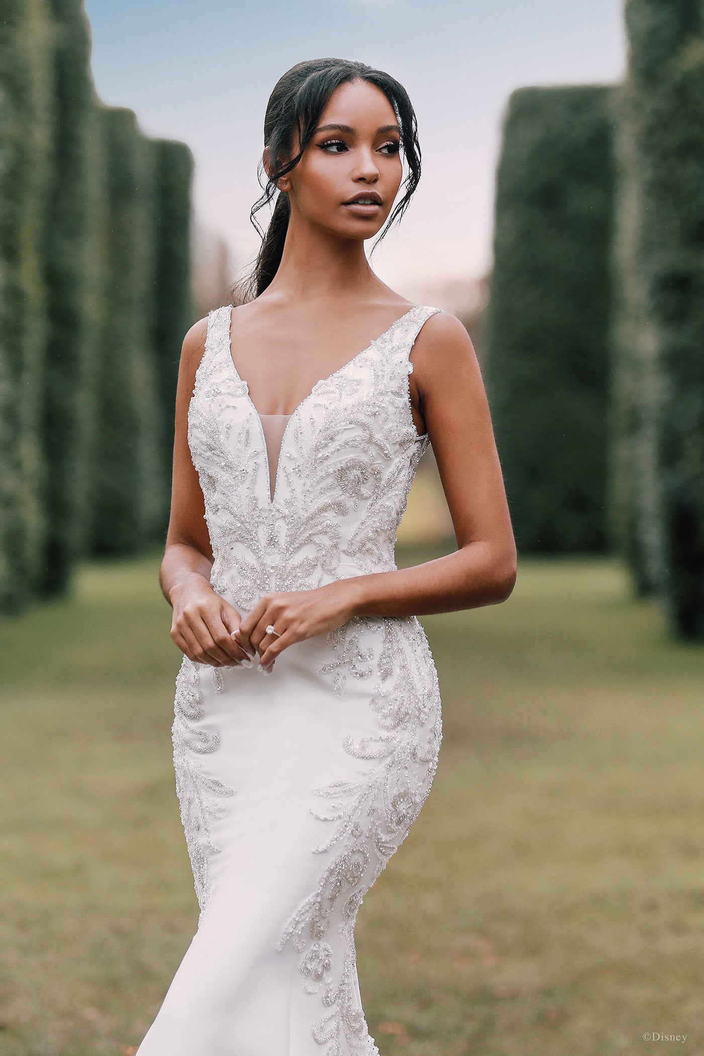 DP274 - Jasmine