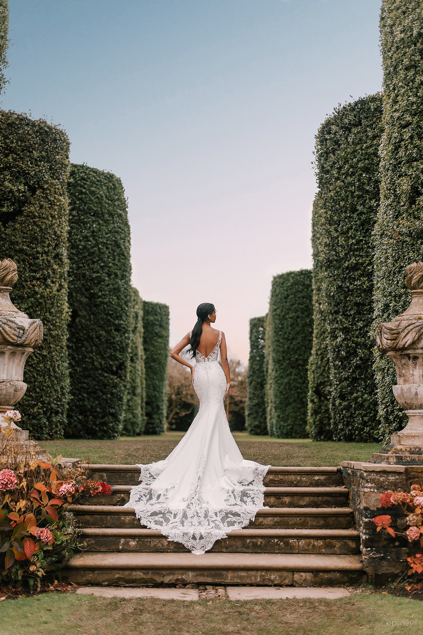 DP274 - Jasmine