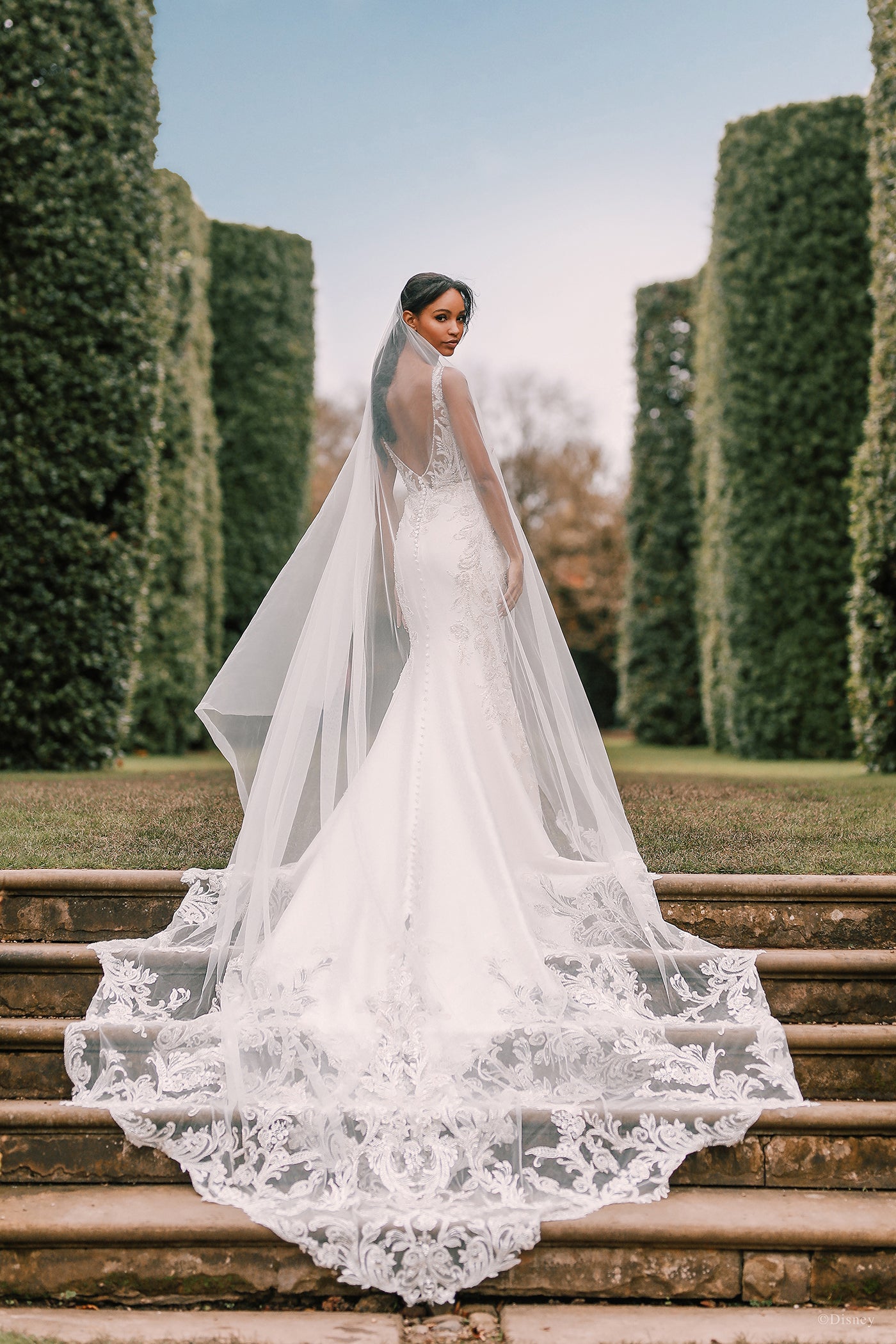 DP274 - Jasmine