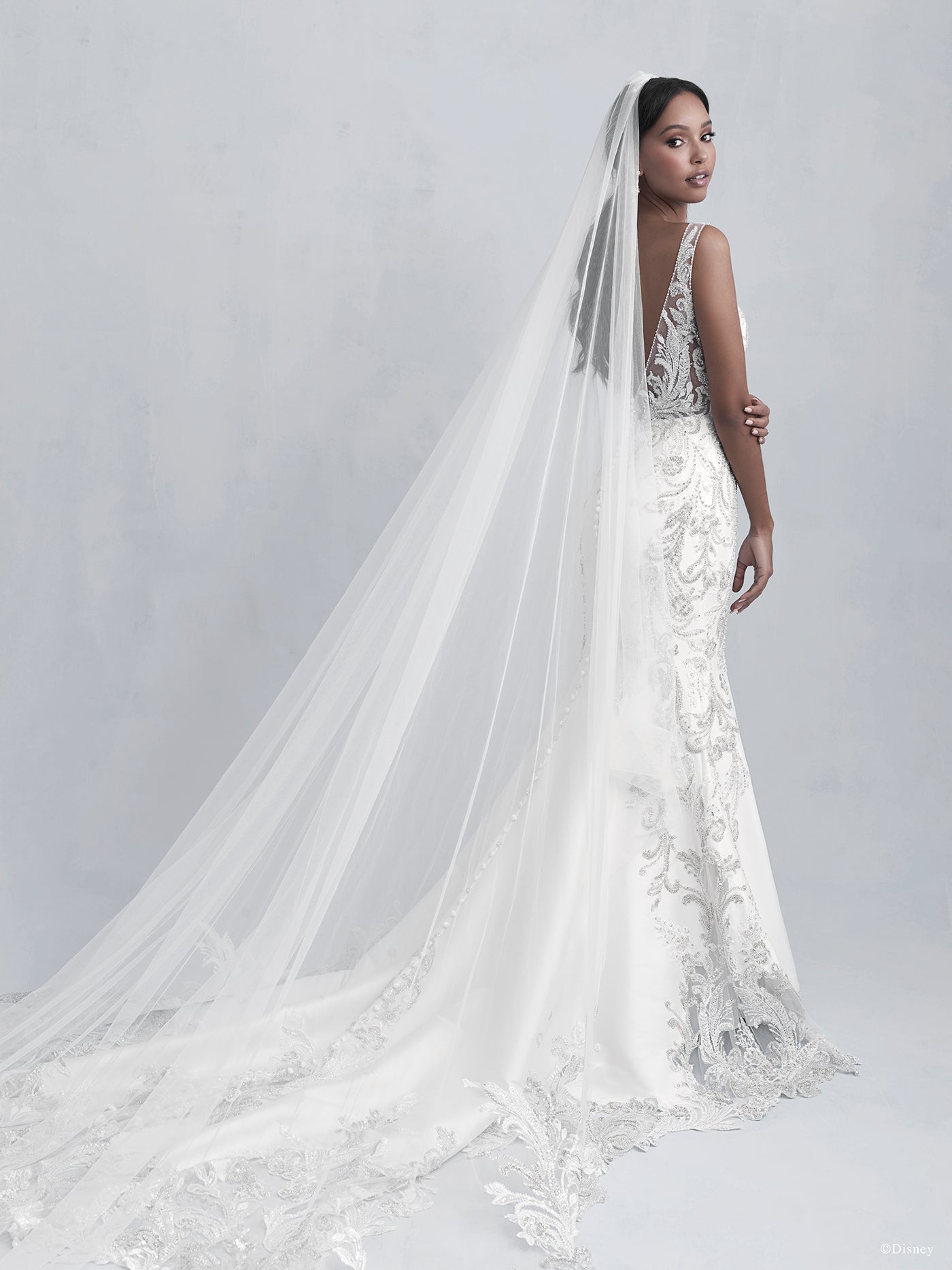 DP274 - Jasmine