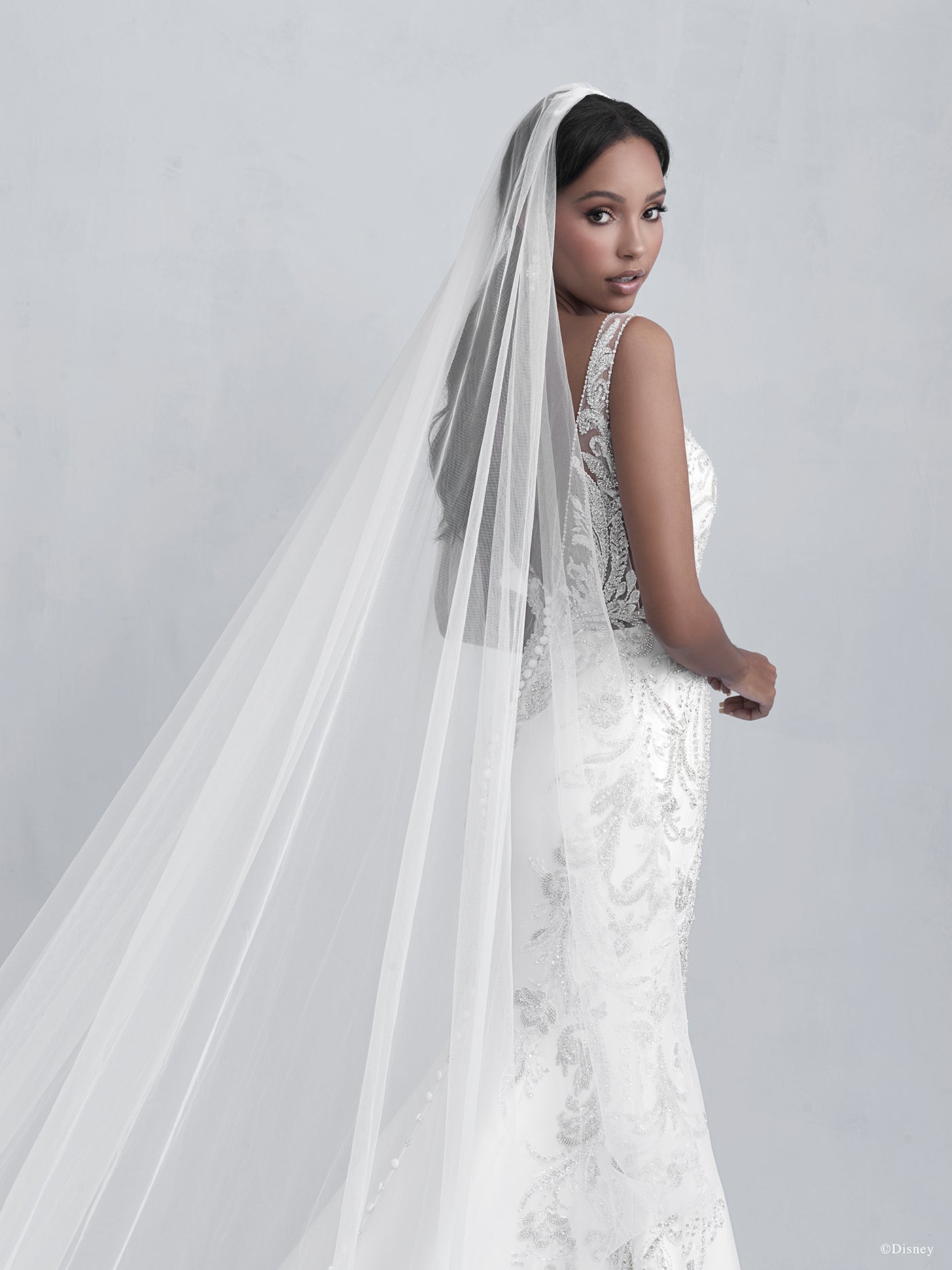 DP274 - Jasmine