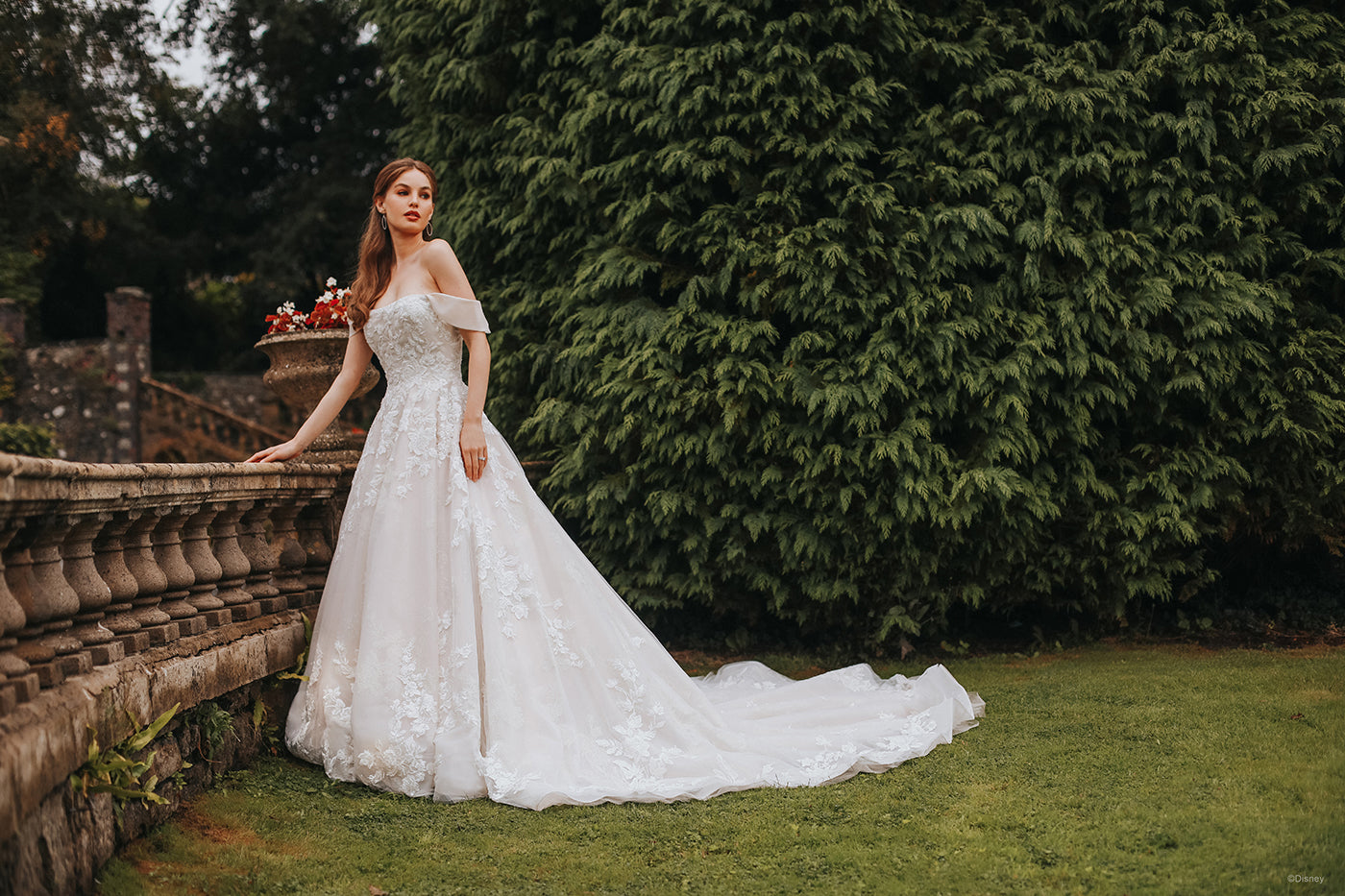 DP302 - Belle