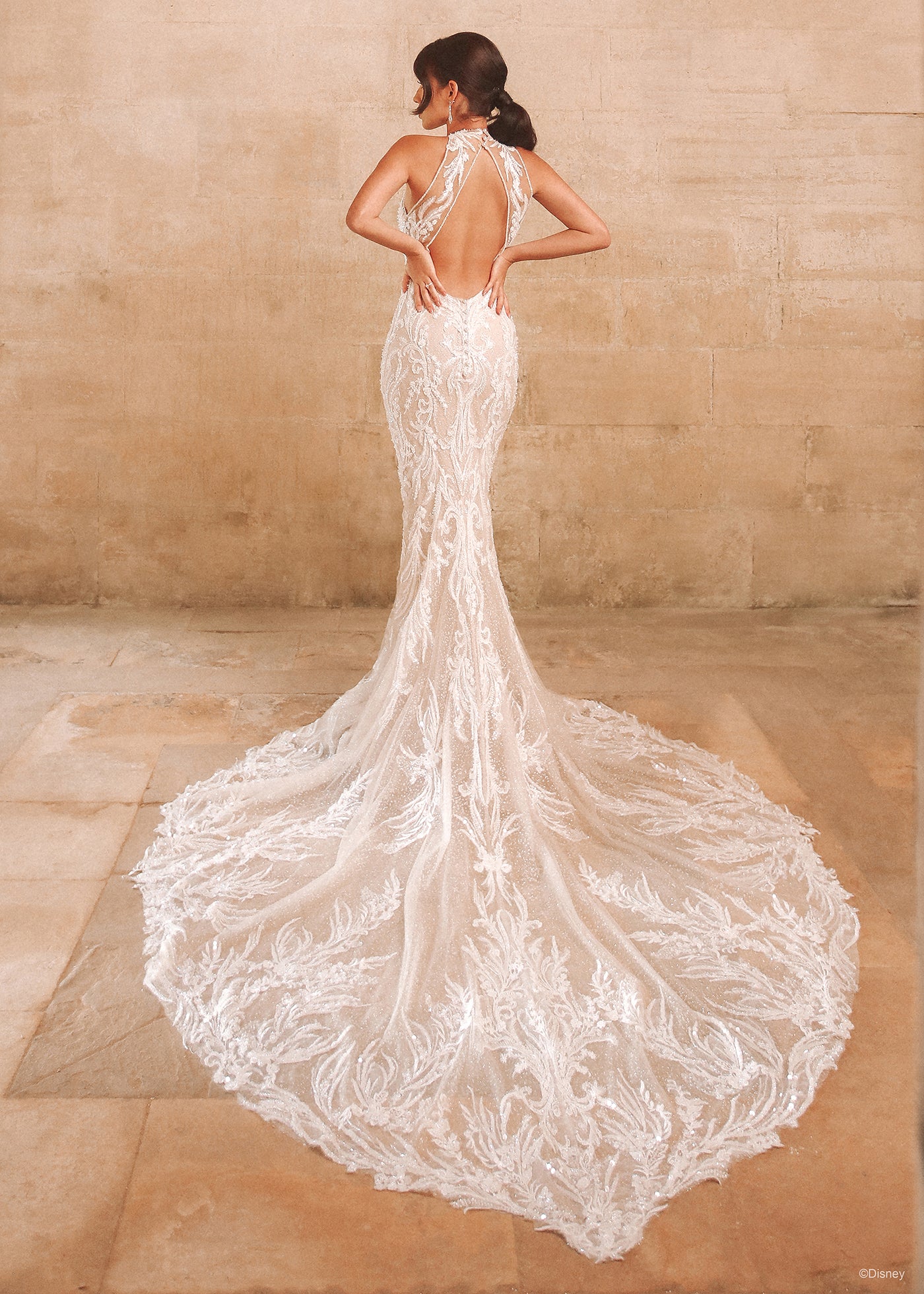 DP354 - Jasmine