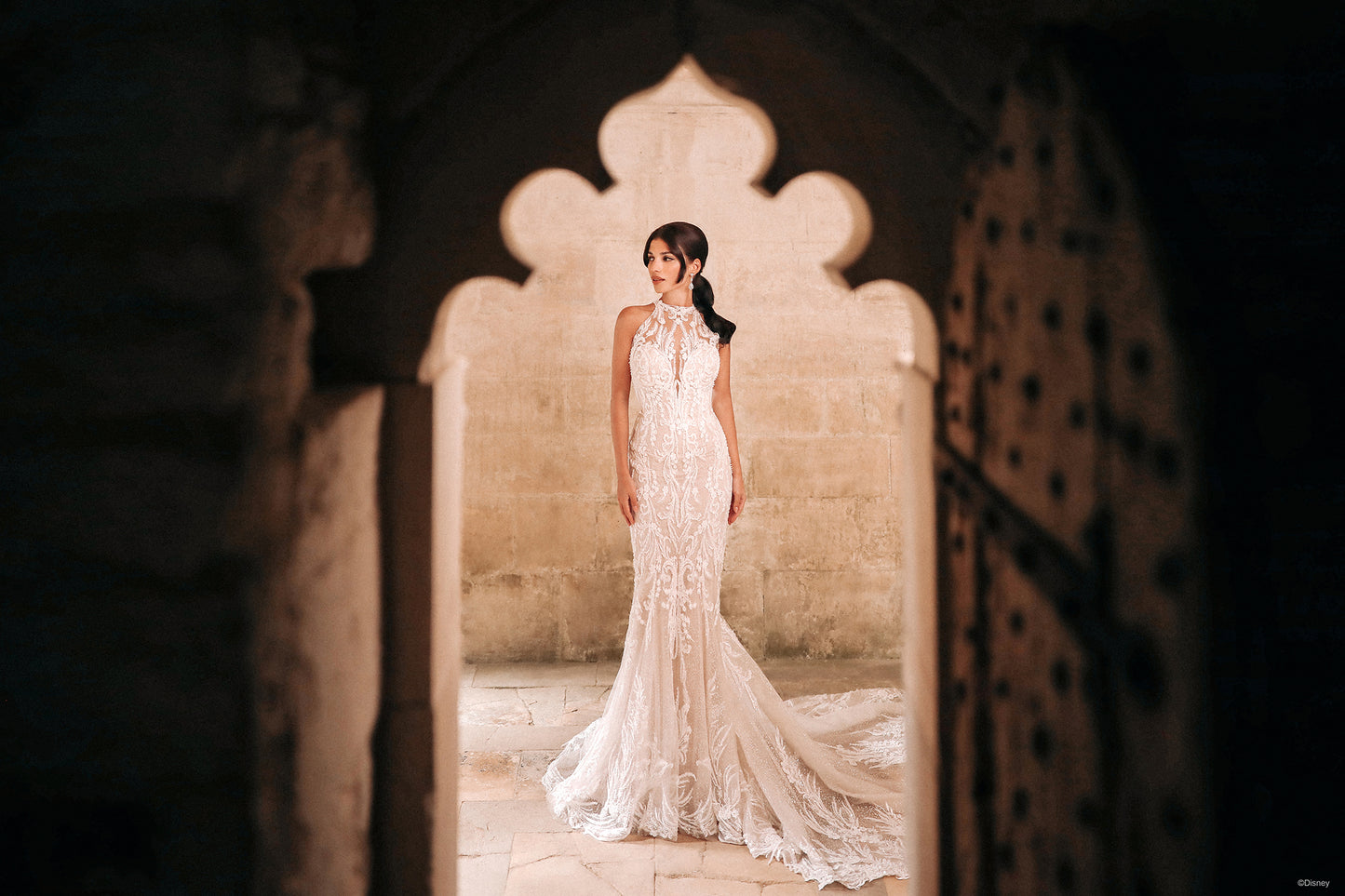 DP354 - Jasmine
