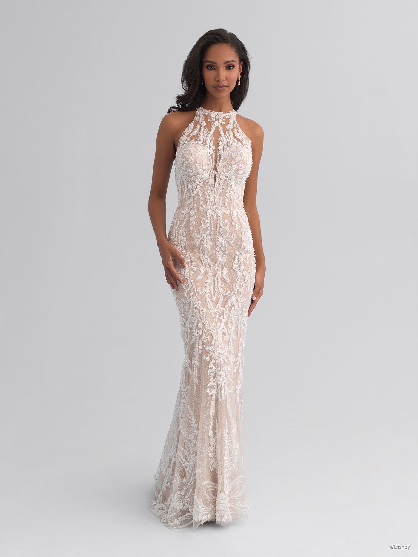 DP354 - Jasmine