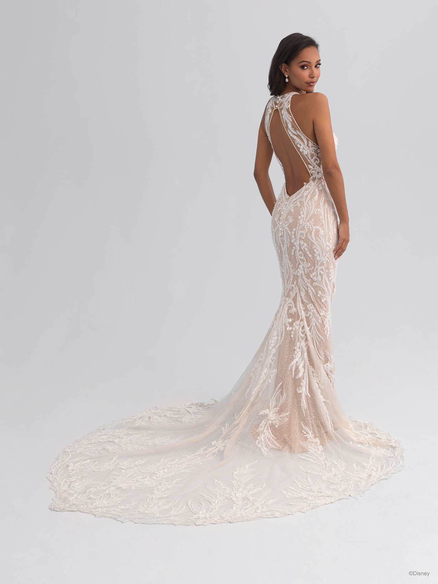 DP354 - Jasmine