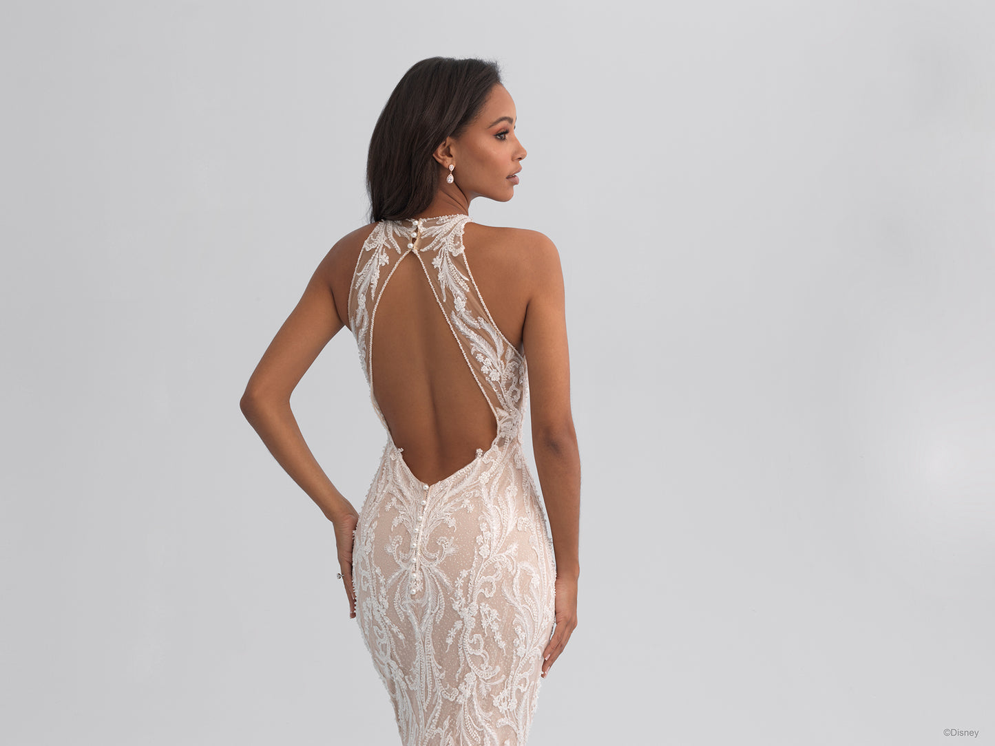 DP354 - Jasmine