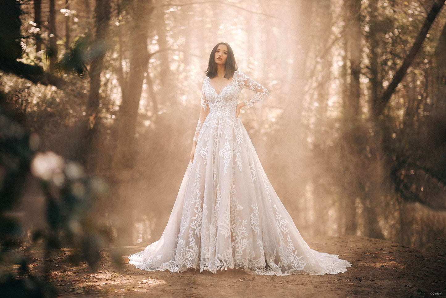 DP355 - Pocahontas