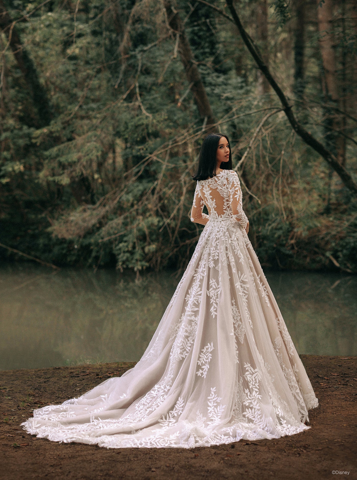 DP355 - Pocahontas