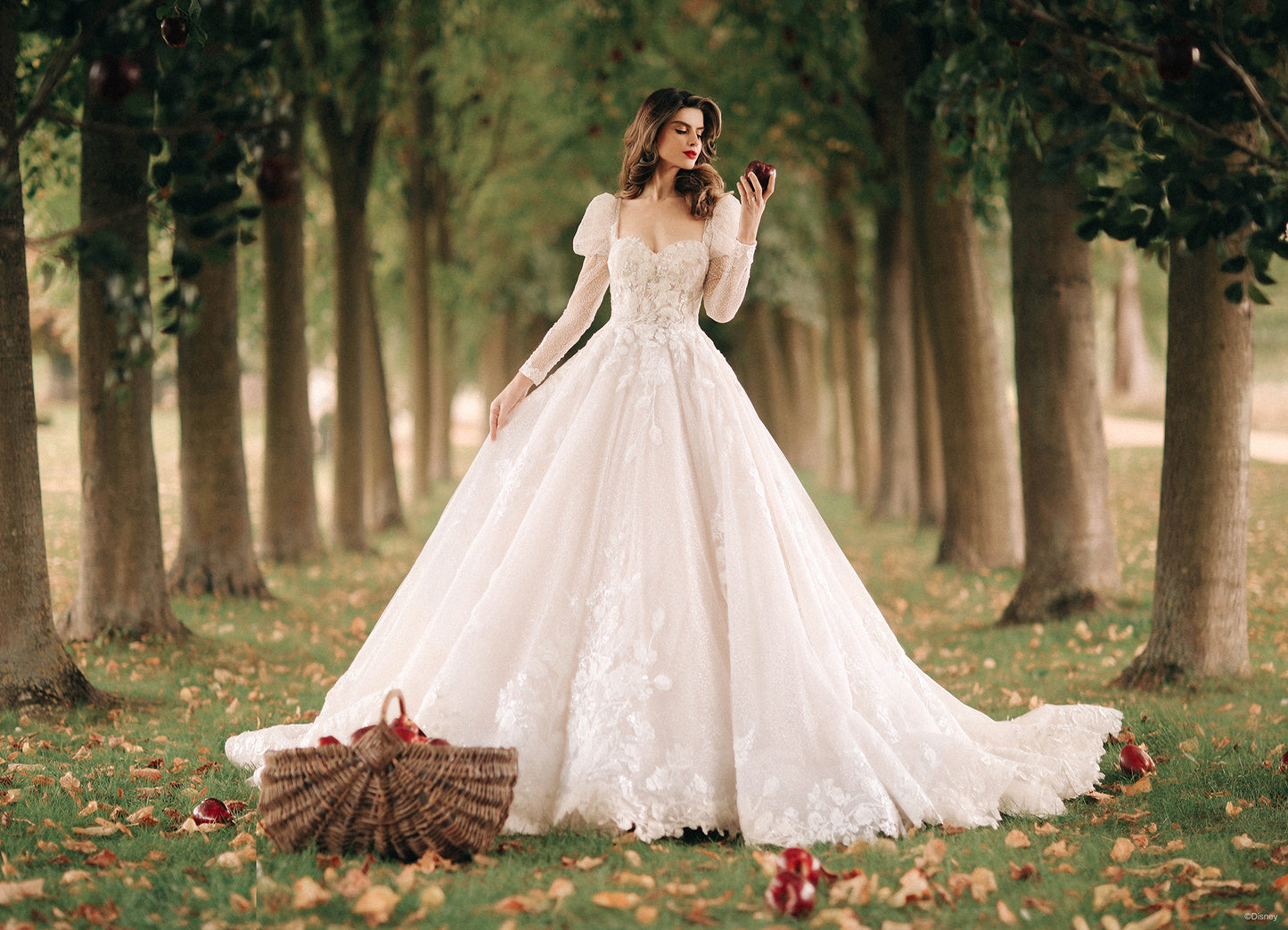 DP357 - Snow White
