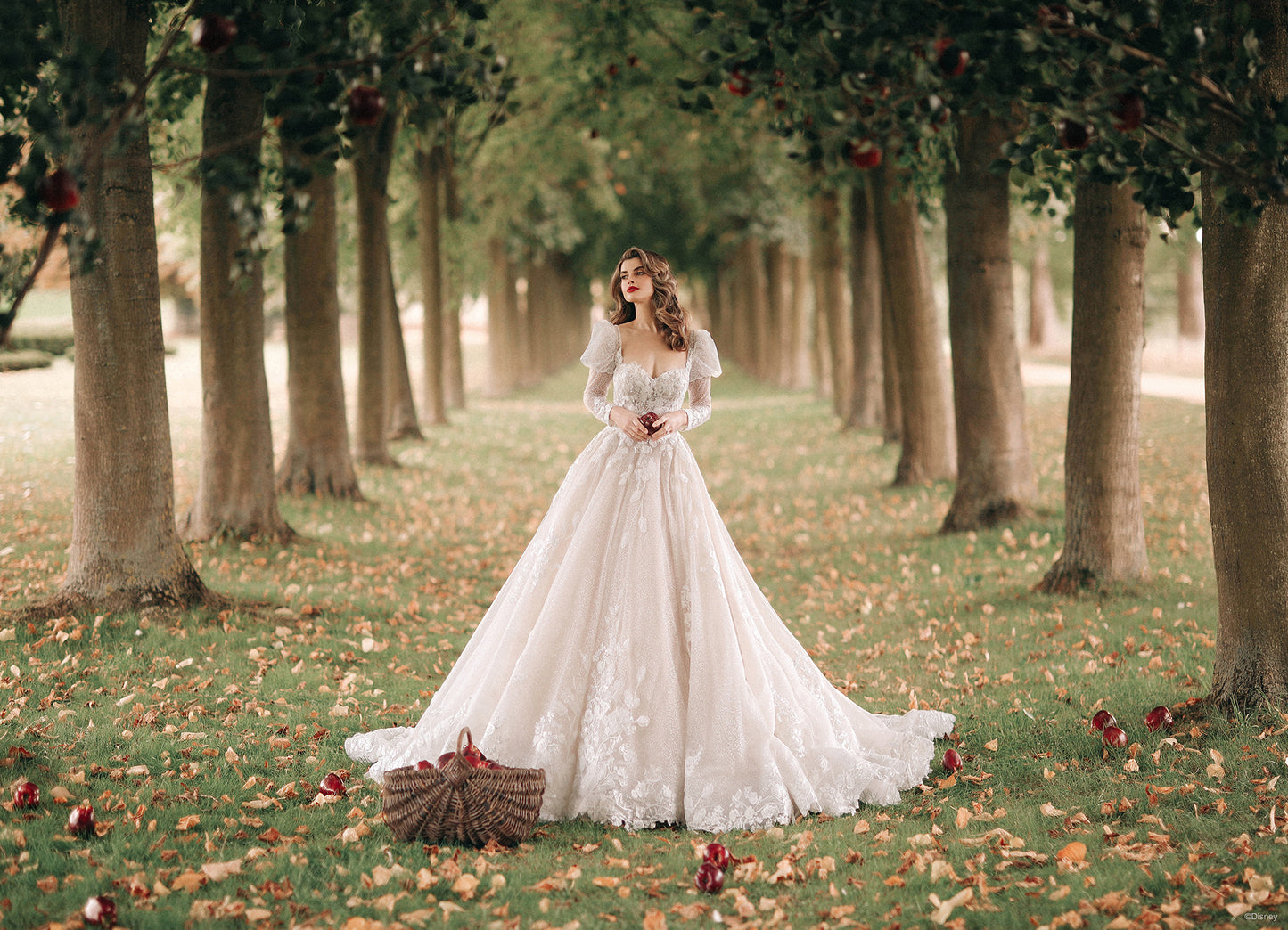 DP357 - Snow White